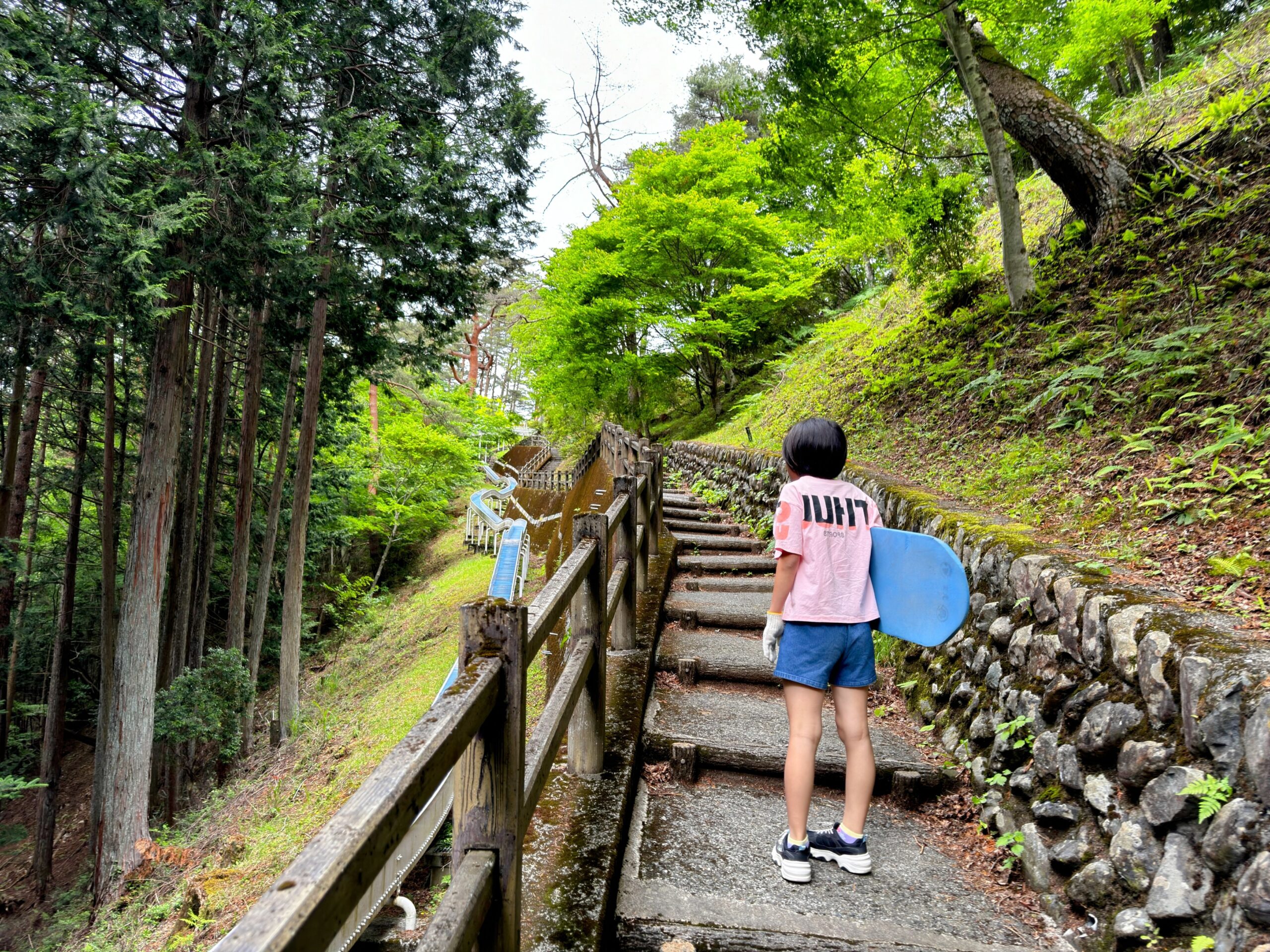 甲斐の国マップ 甲斐のホテル 山梨県 観光情報