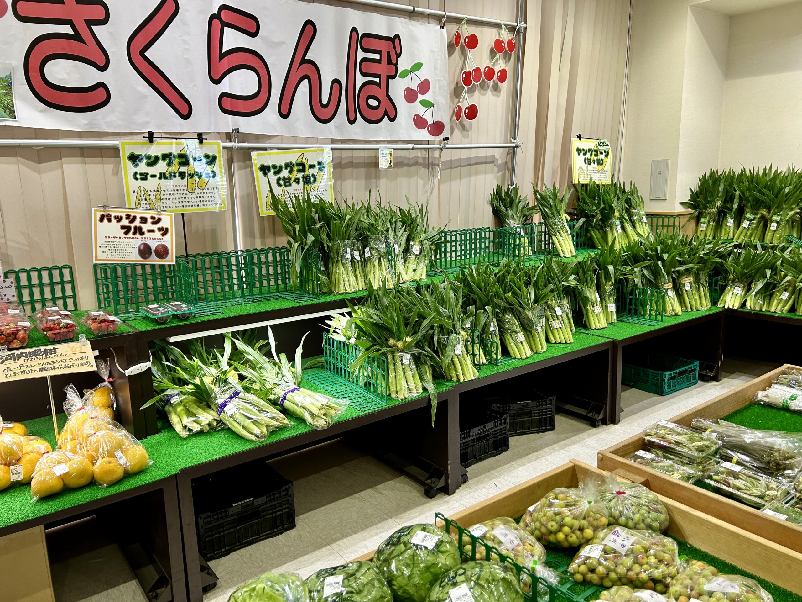 甲斐の国マップ 甲斐のホテル 山梨県 観光情報