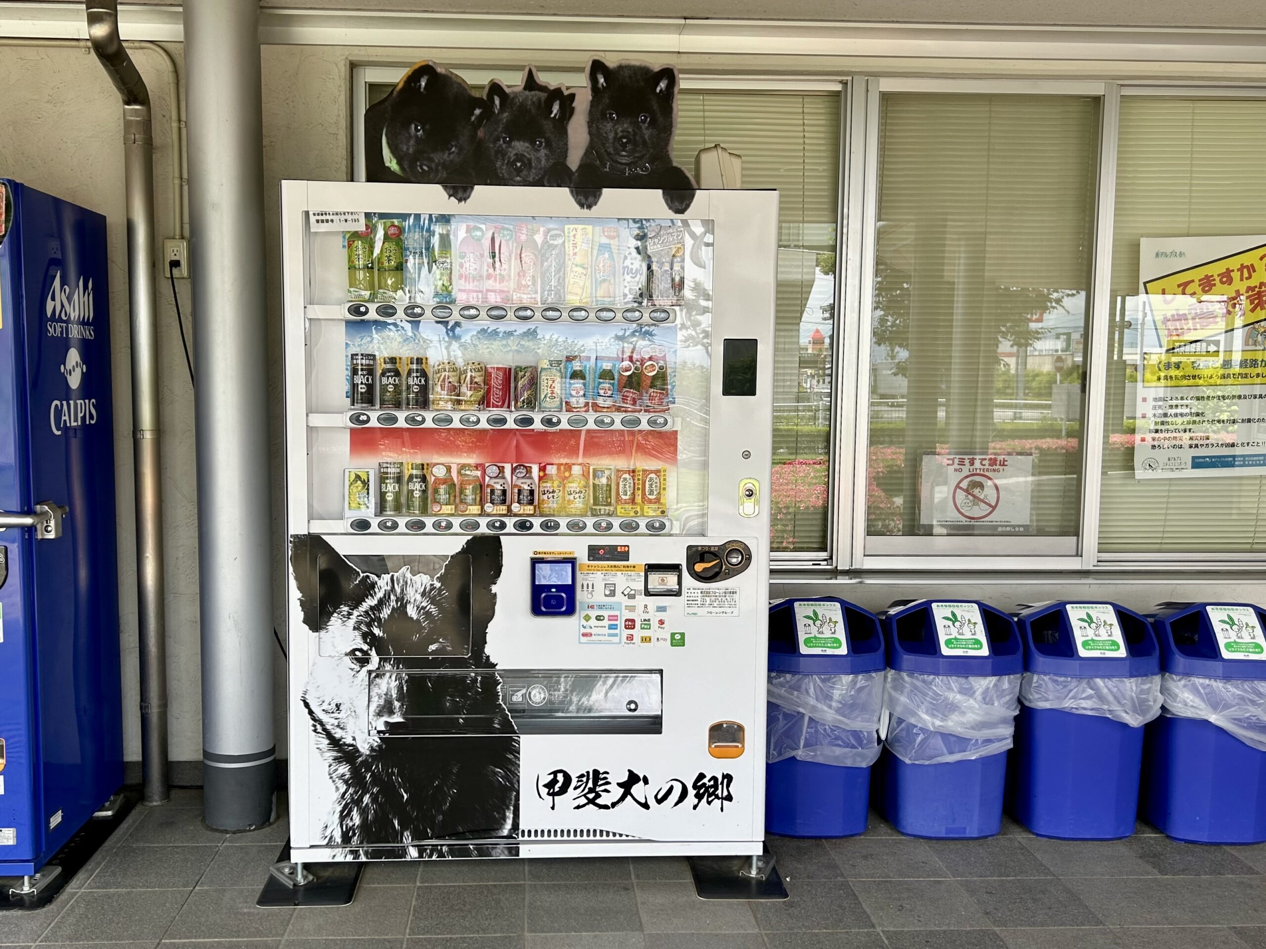 甲斐の国マップ 甲斐のホテル 山梨県 観光情報