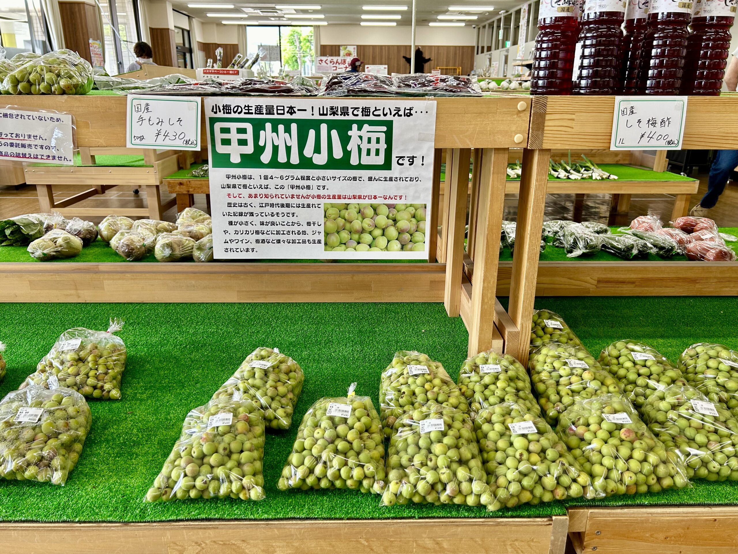 甲斐の国マップ 甲斐のホテル 山梨県 観光情報