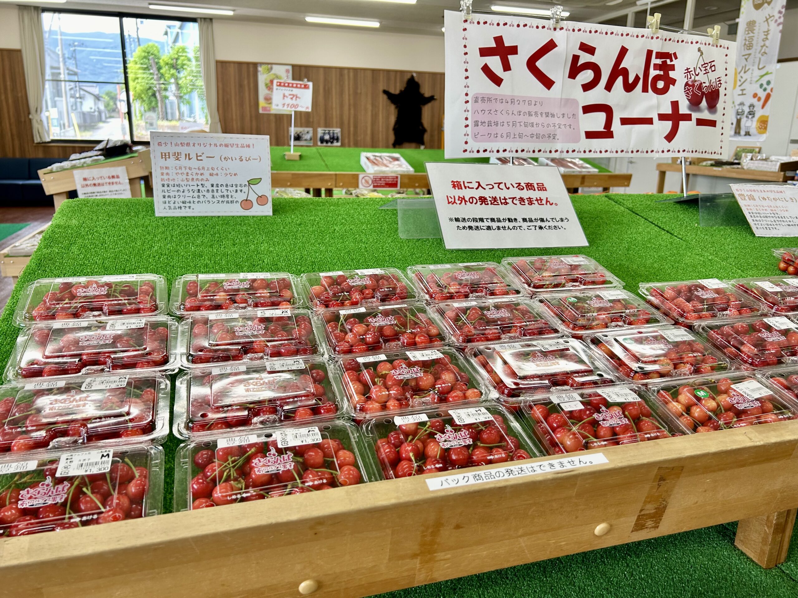 甲斐の国マップ 甲斐のホテル 山梨県 観光情報