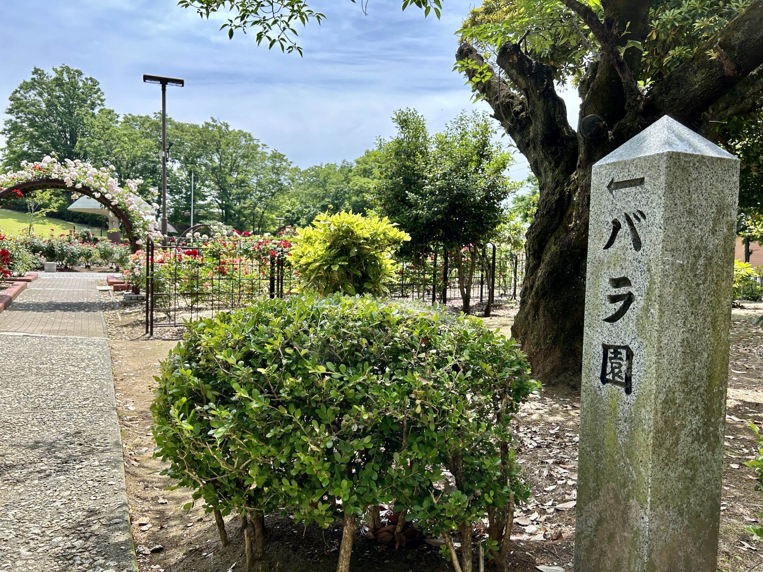 甲斐の国マップ 甲斐のホテル 山梨県 観光情報