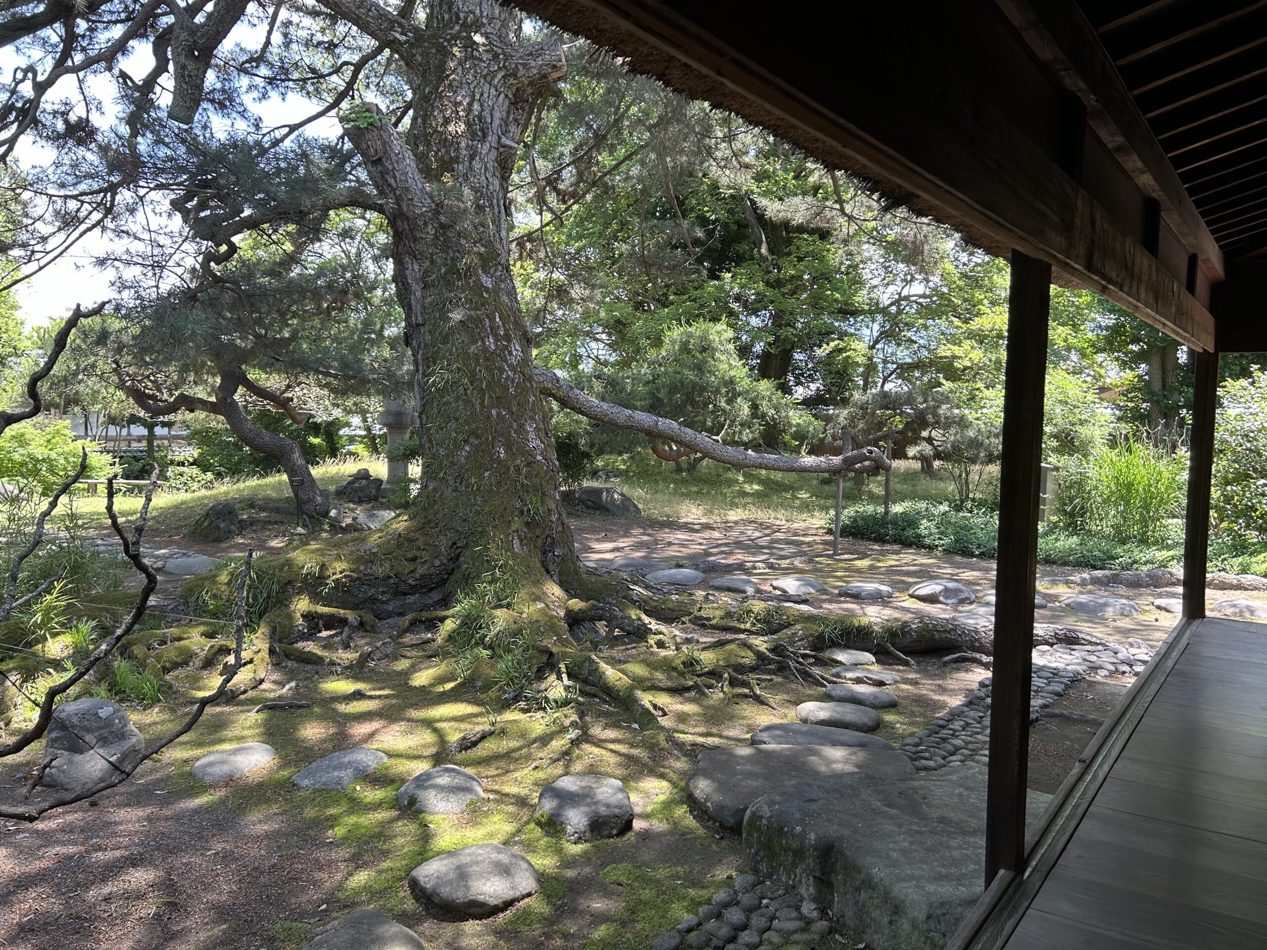 甲斐の国マップ 甲斐のホテル 山梨県 観光情報