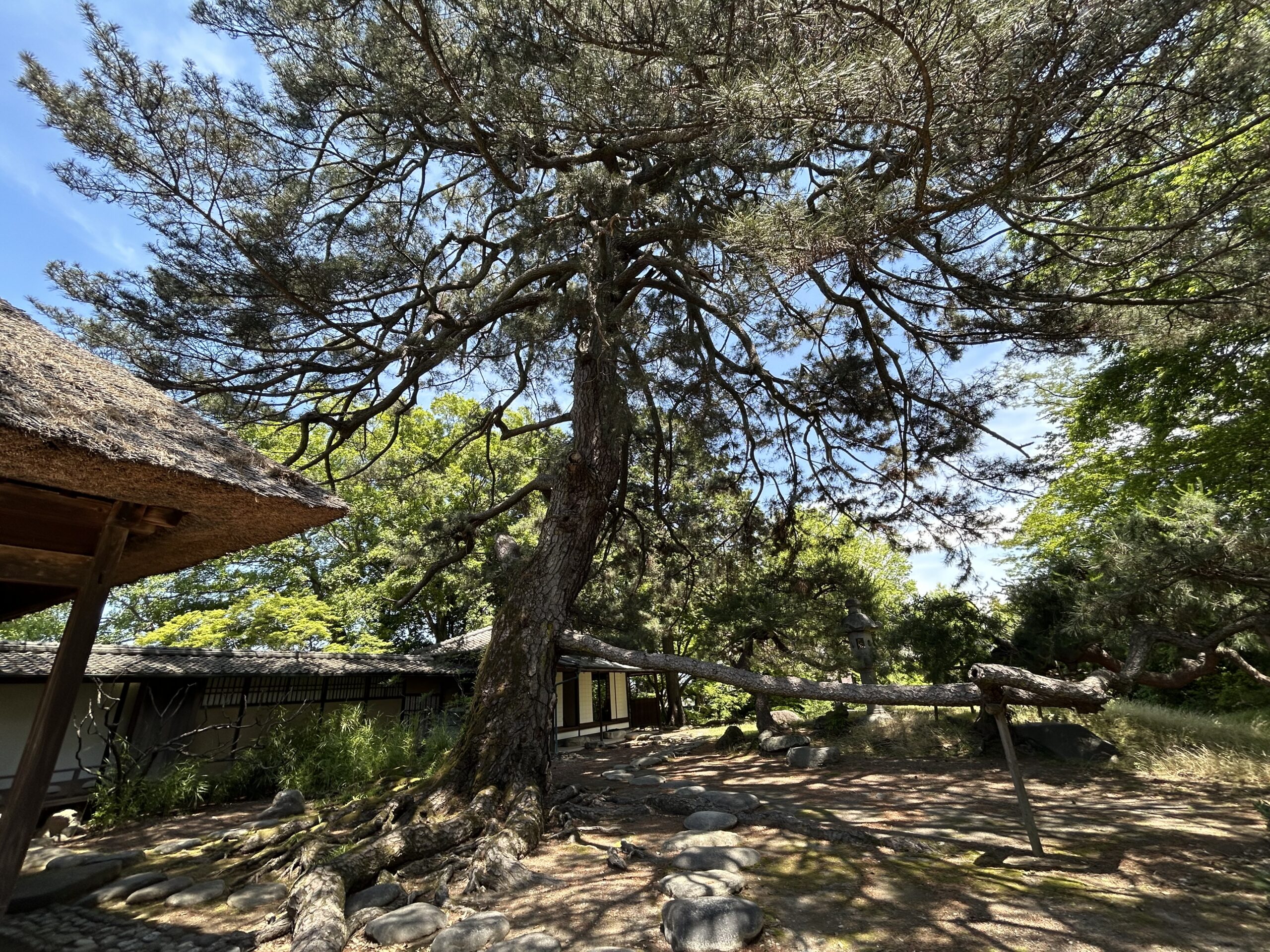 甲斐の国マップ 甲斐のホテル 山梨県 観光情報