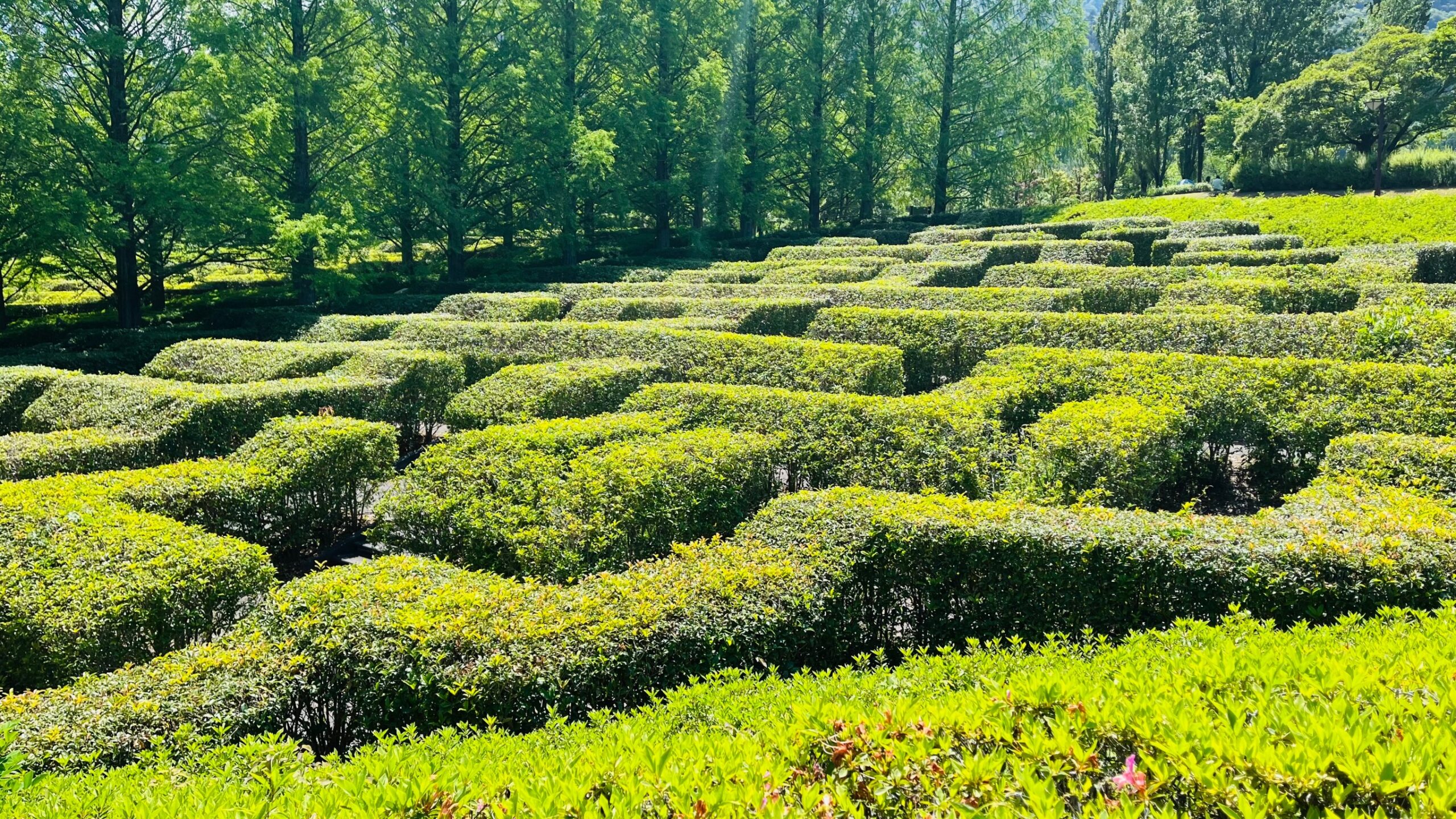 甲斐の国マップ 甲斐のホテル 山梨県 観光情報