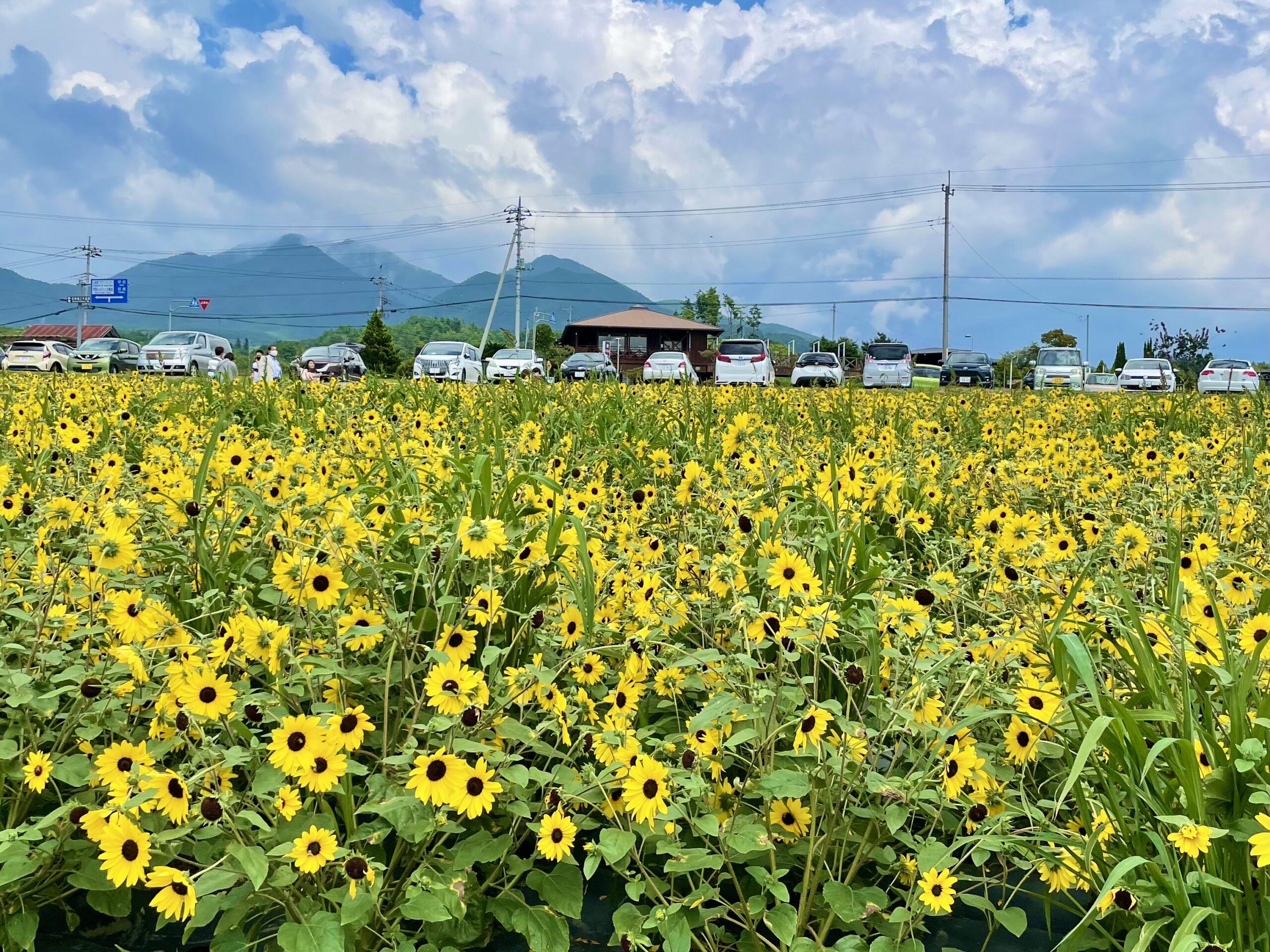 甲斐の国マップ 甲斐のホテル 山梨県 観光情報