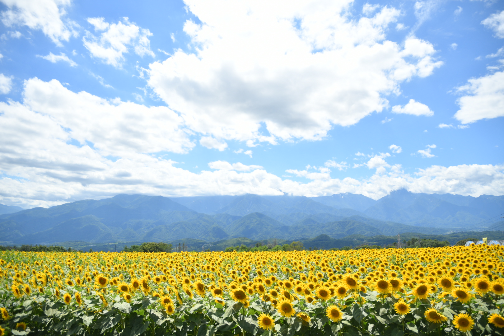 甲斐の国マップ 甲斐のホテル 山梨県 観光情報