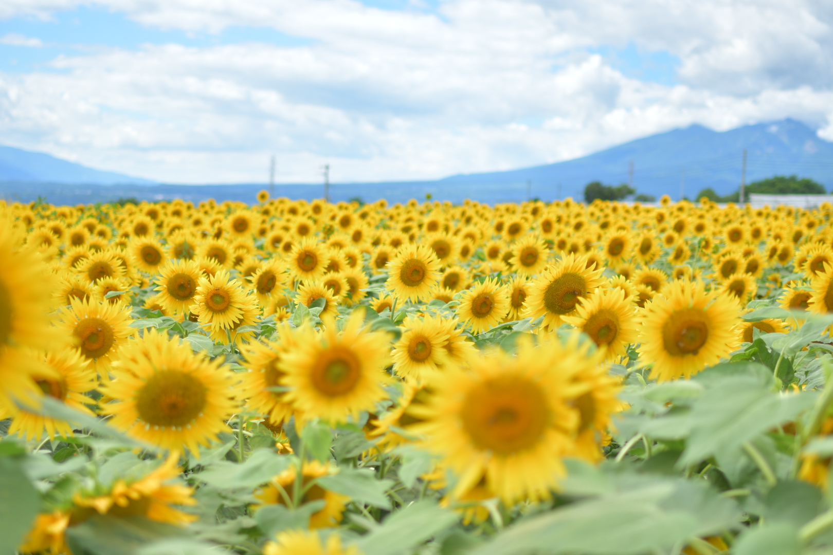 甲斐の国マップ 甲斐のホテル 山梨県 観光情報