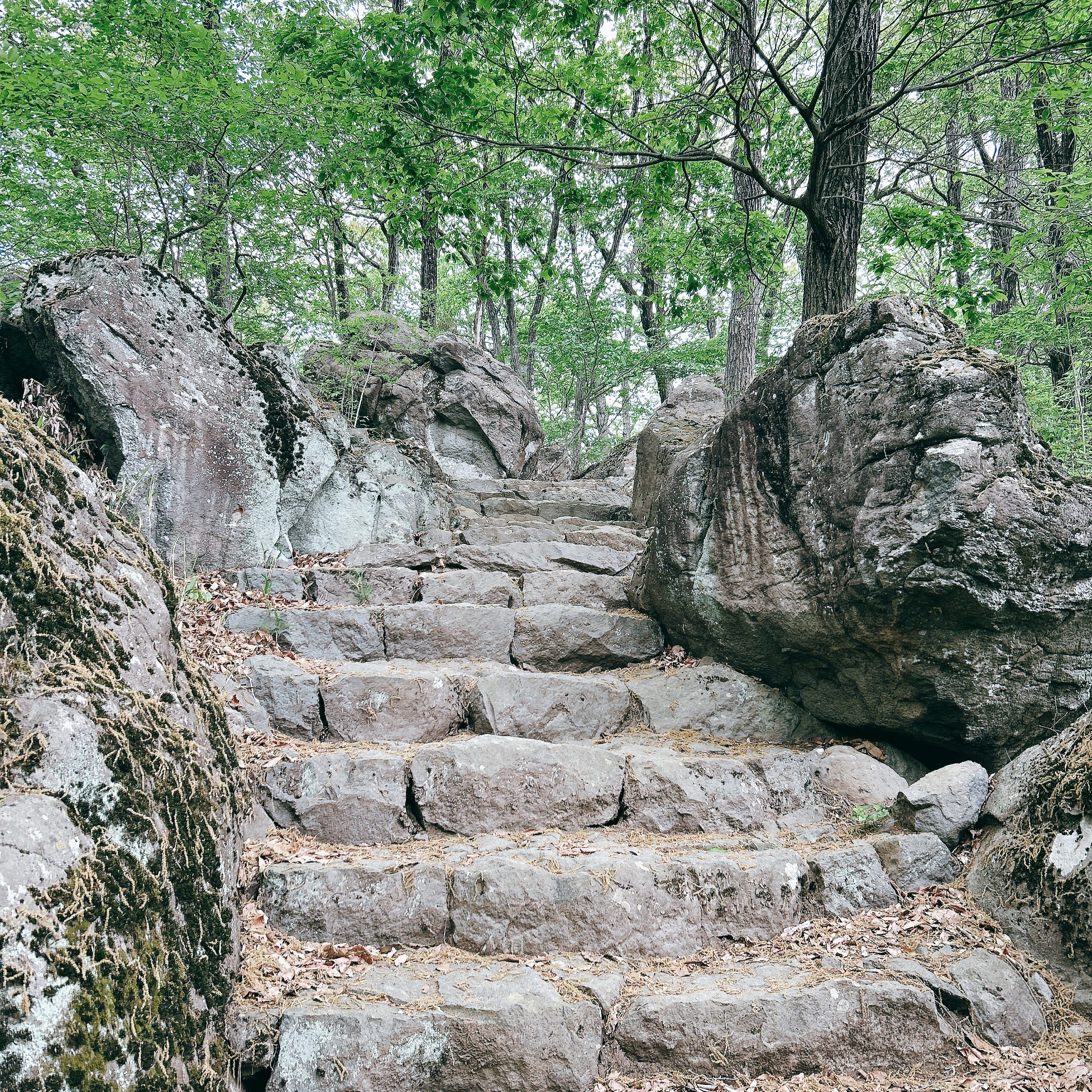 甲府名山　八王子山（はちおうじやま） 甲斐の国マップ 甲斐のホテル 山梨県 観光情報