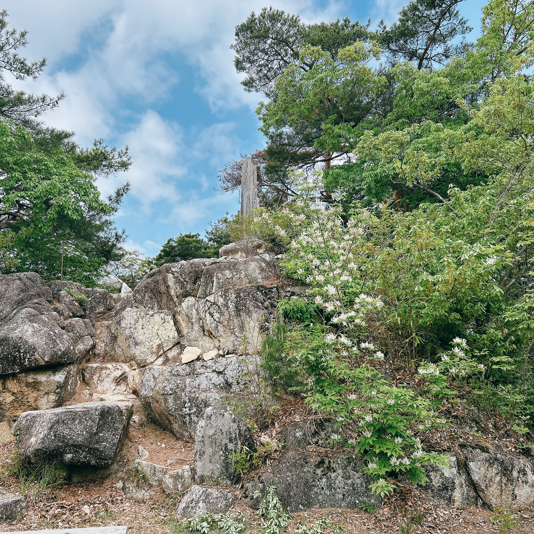 甲斐の国マップ 甲斐のホテル 山梨県 観光情報