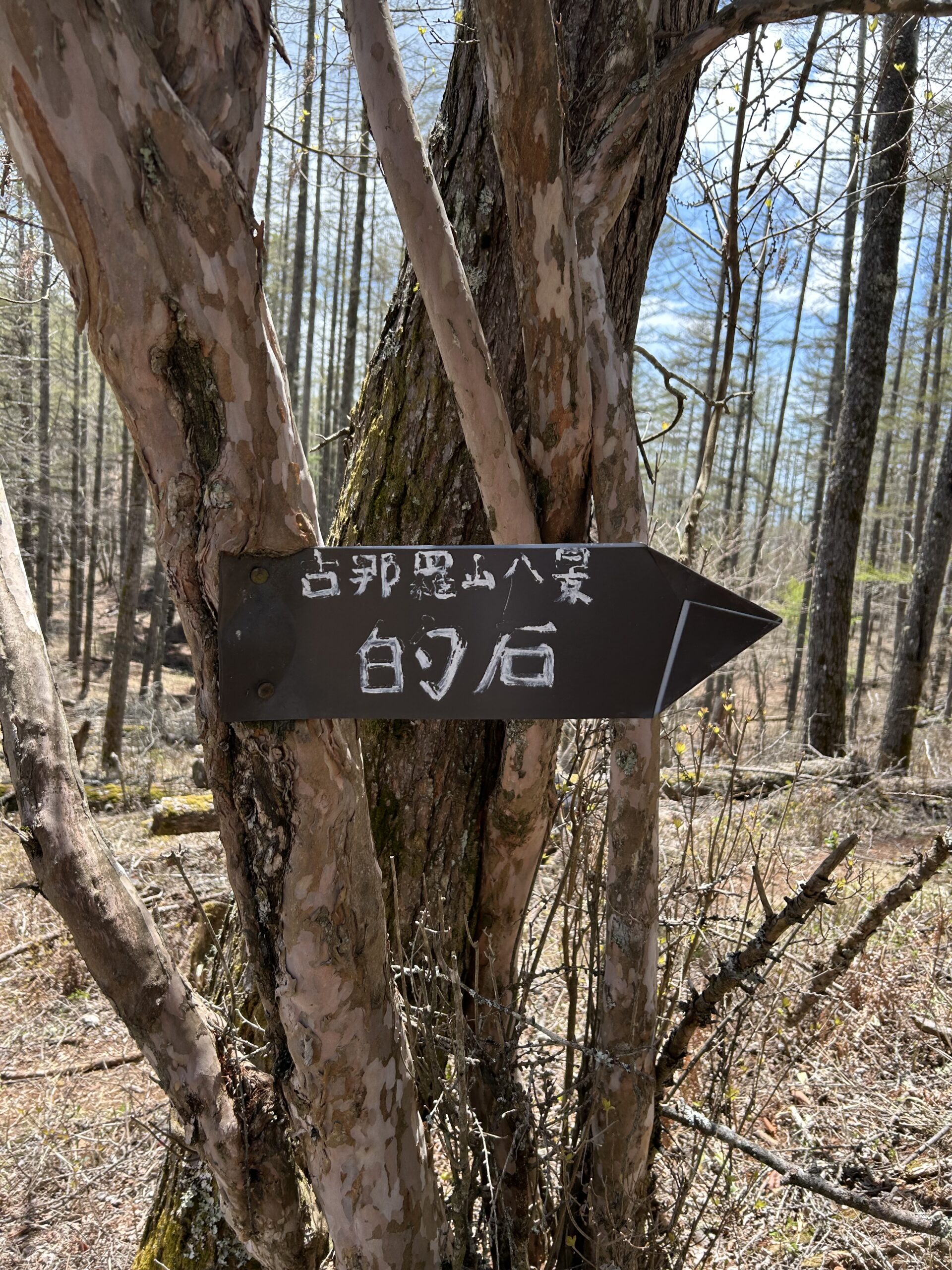 甲斐の国マップ 甲斐のホテル 山梨県 観光情報
