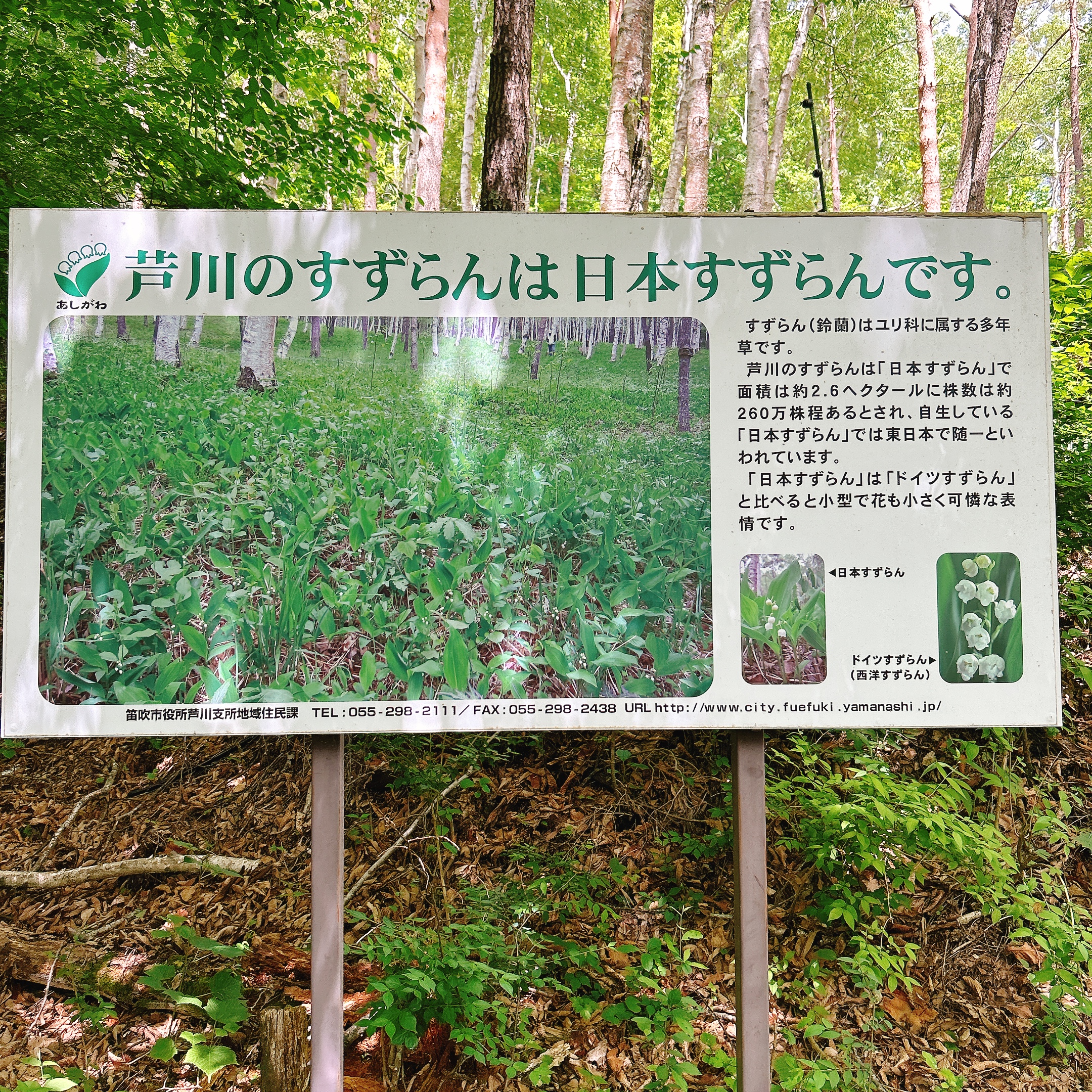 甲斐の国マップ 甲斐のホテル 山梨県 観光情報