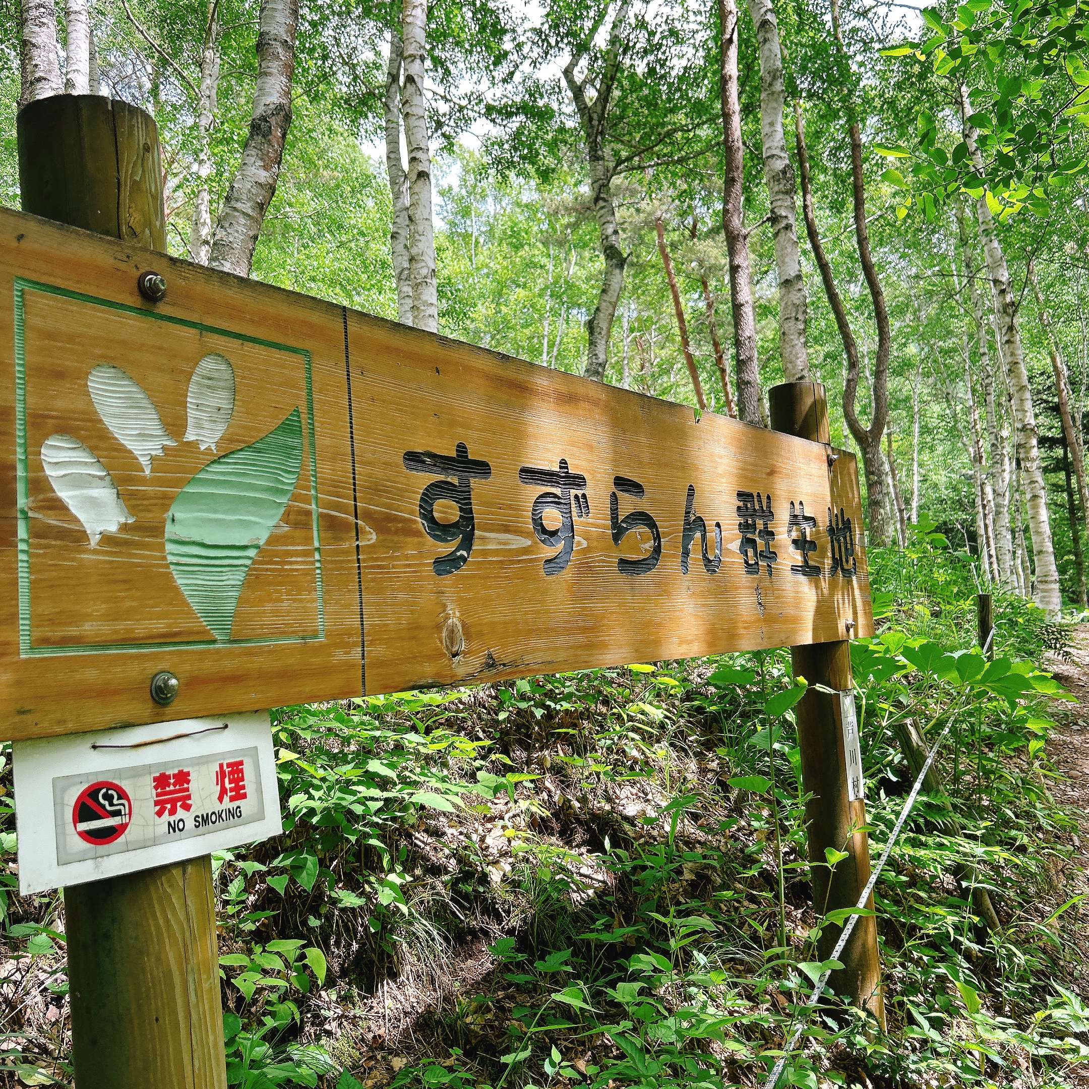 甲斐の国マップ 甲斐のホテル 山梨県 観光情報