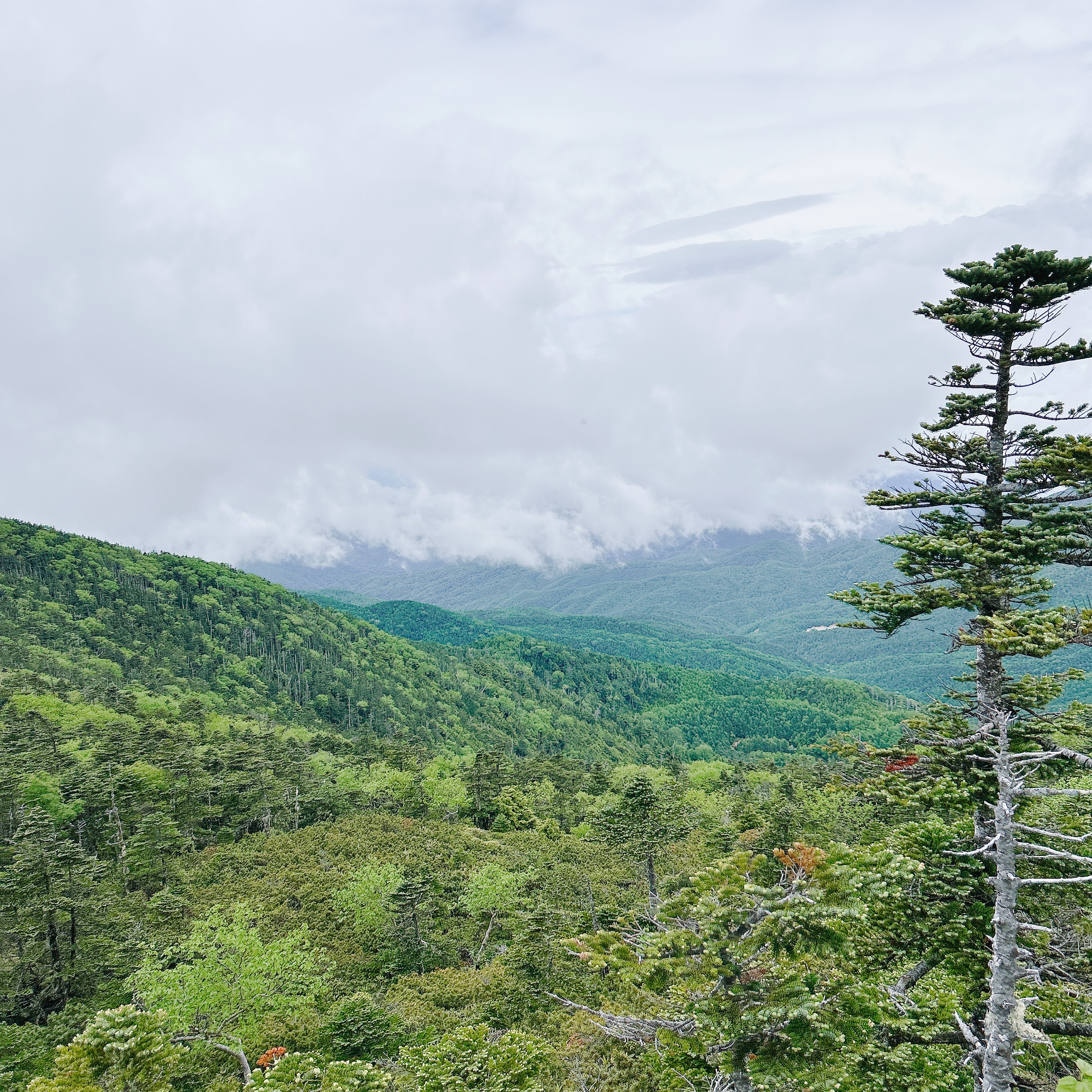 甲斐の国マップ 甲斐のホテル 山梨県 観光情報