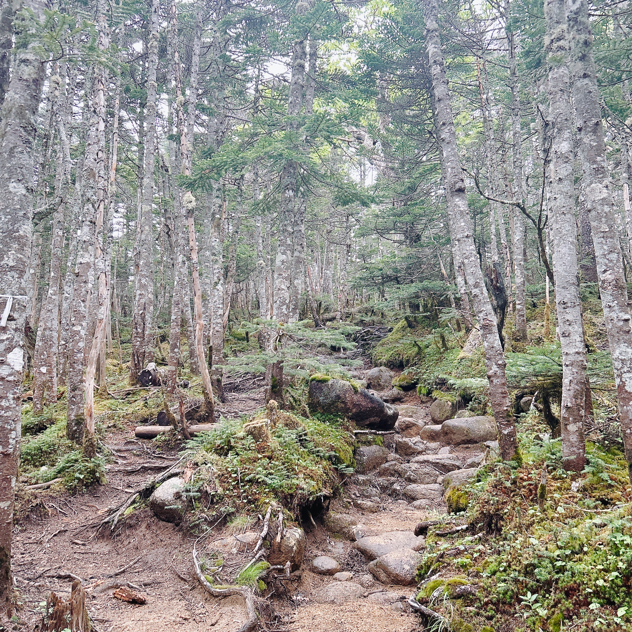 甲斐の国マップ 甲斐のホテル 山梨県 観光情報