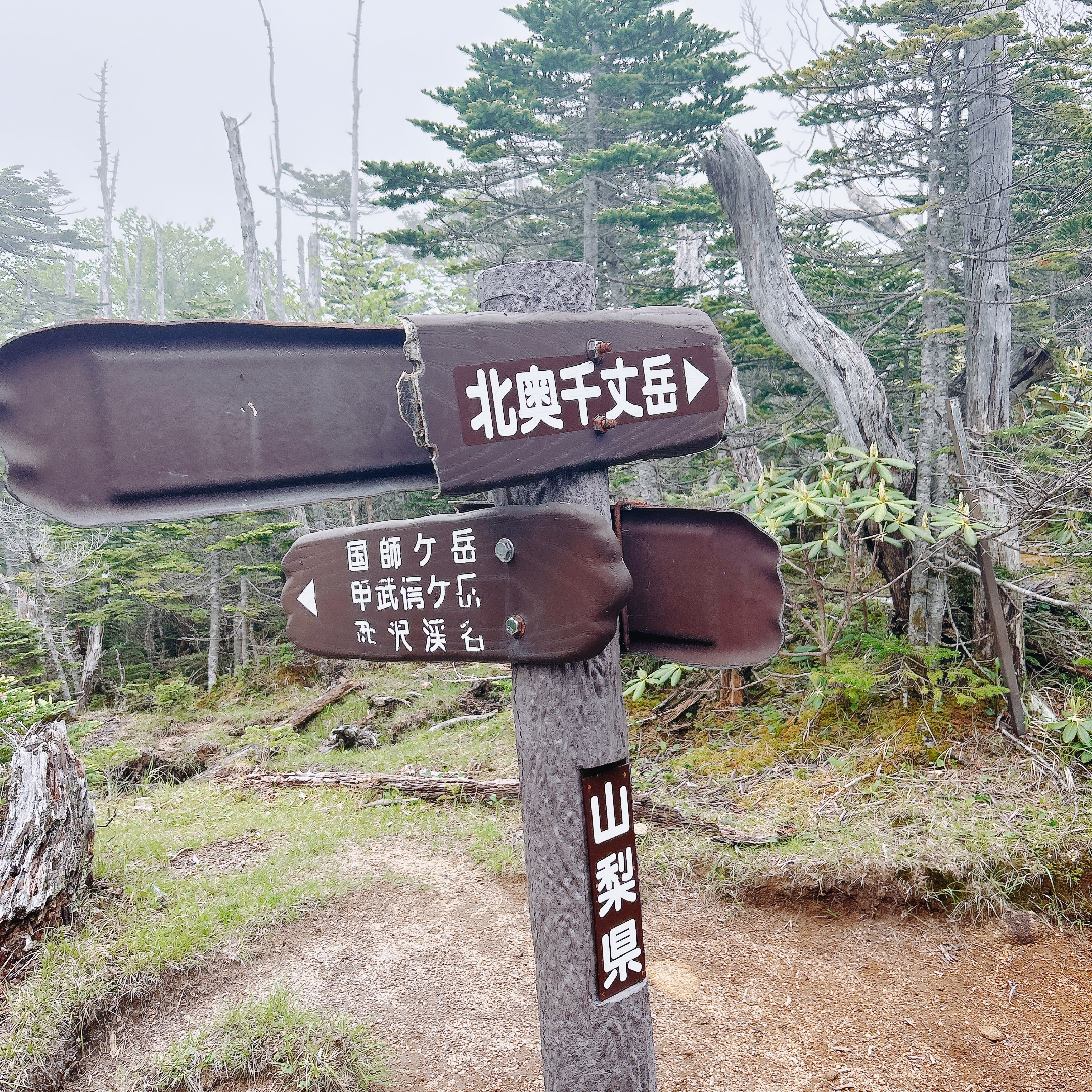 甲斐の国マップ 甲斐のホテル 山梨県 観光情報
