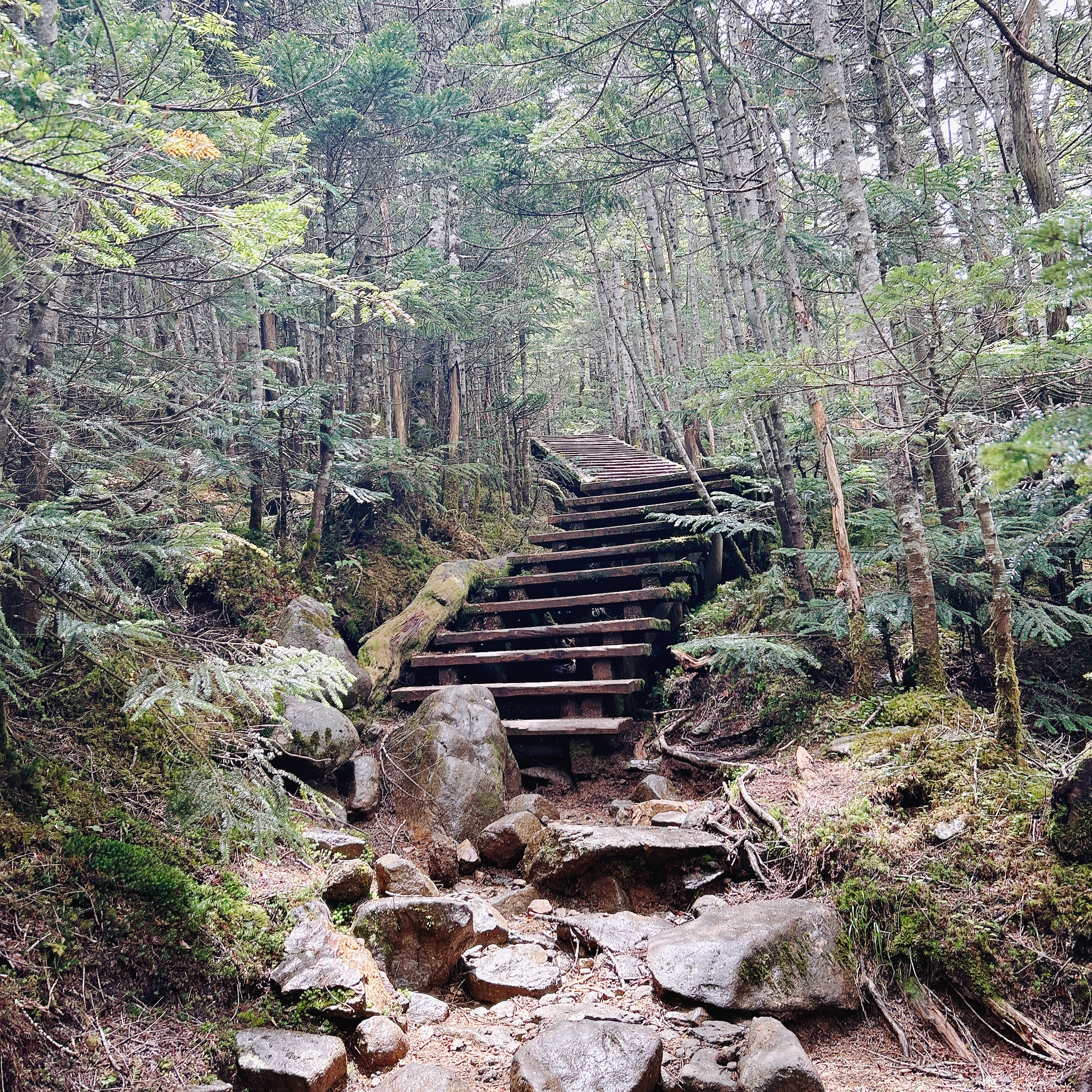甲斐の国マップ 甲斐のホテル 山梨県 観光情報