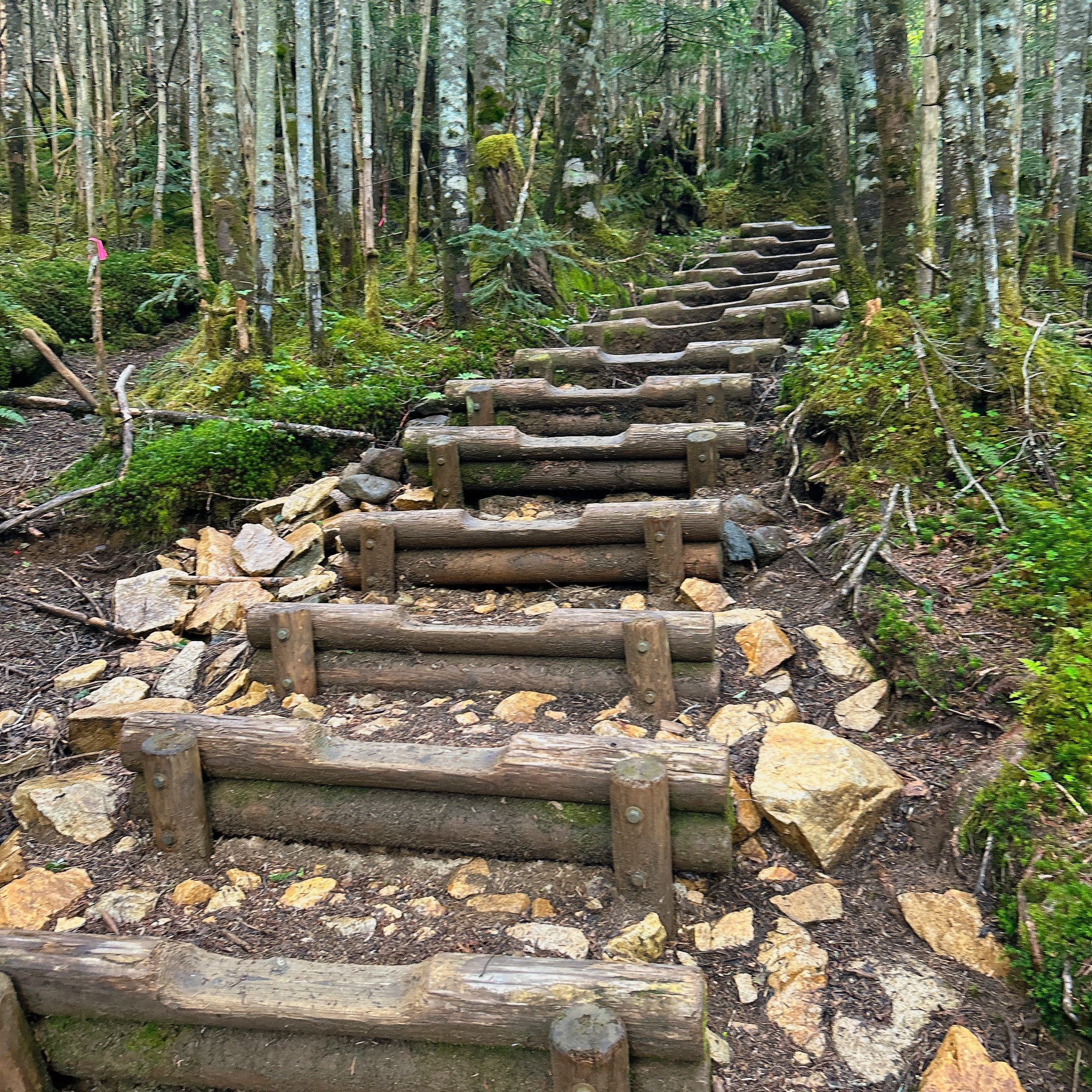 甲斐の国マップ 甲斐のホテル 山梨県 観光情報