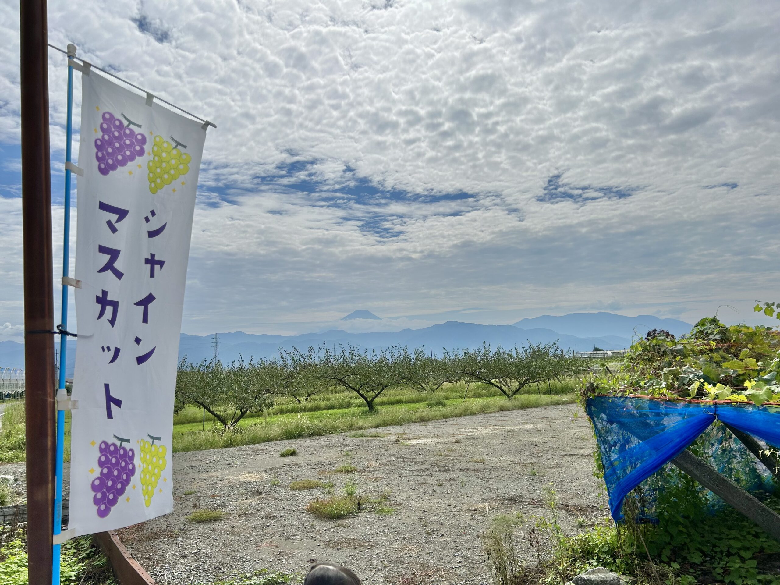 甲斐の国マップ 甲斐のホテル 山梨県 観光情報