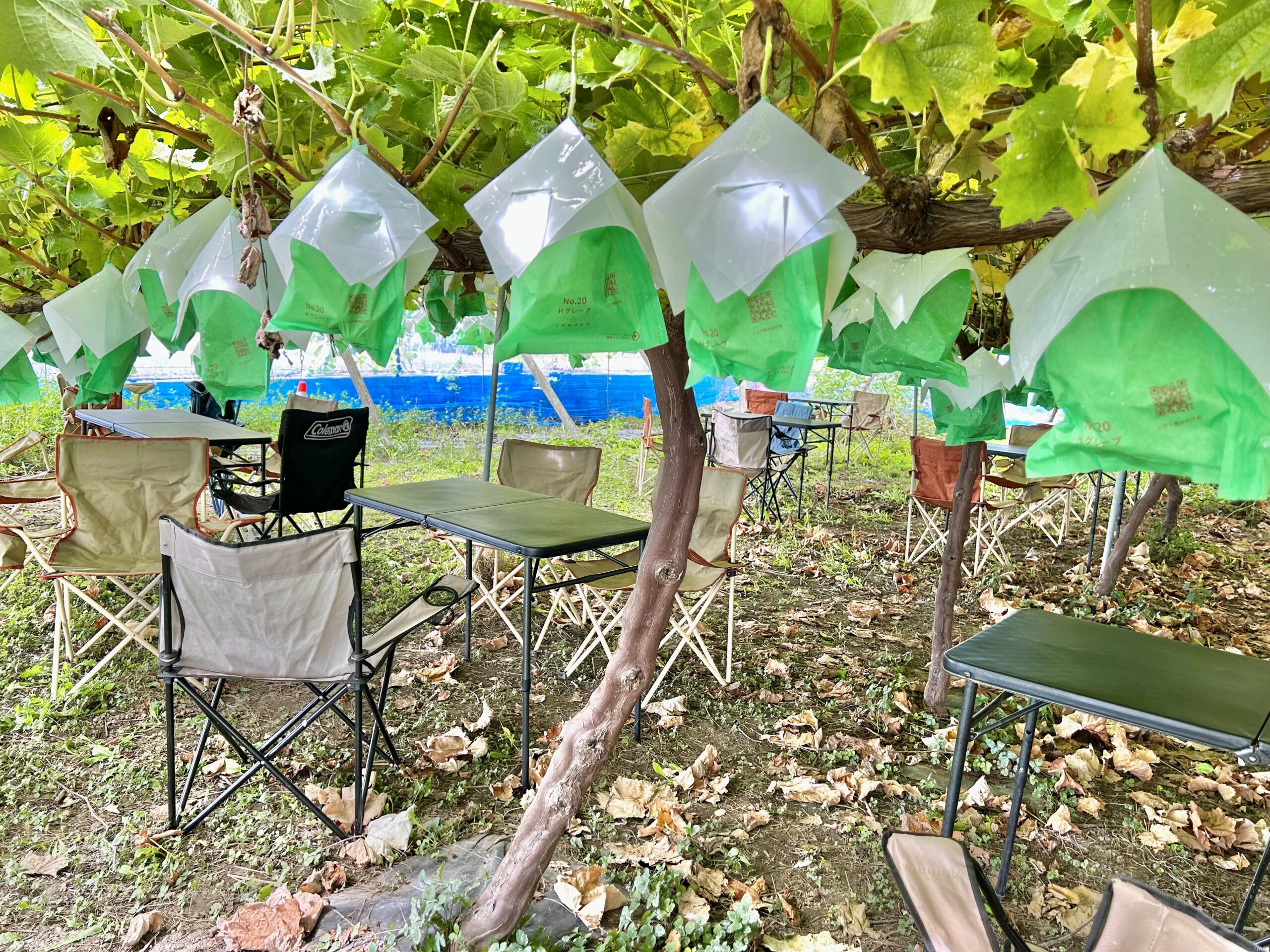 甲斐の国マップ 甲斐のホテル 山梨県 観光情報