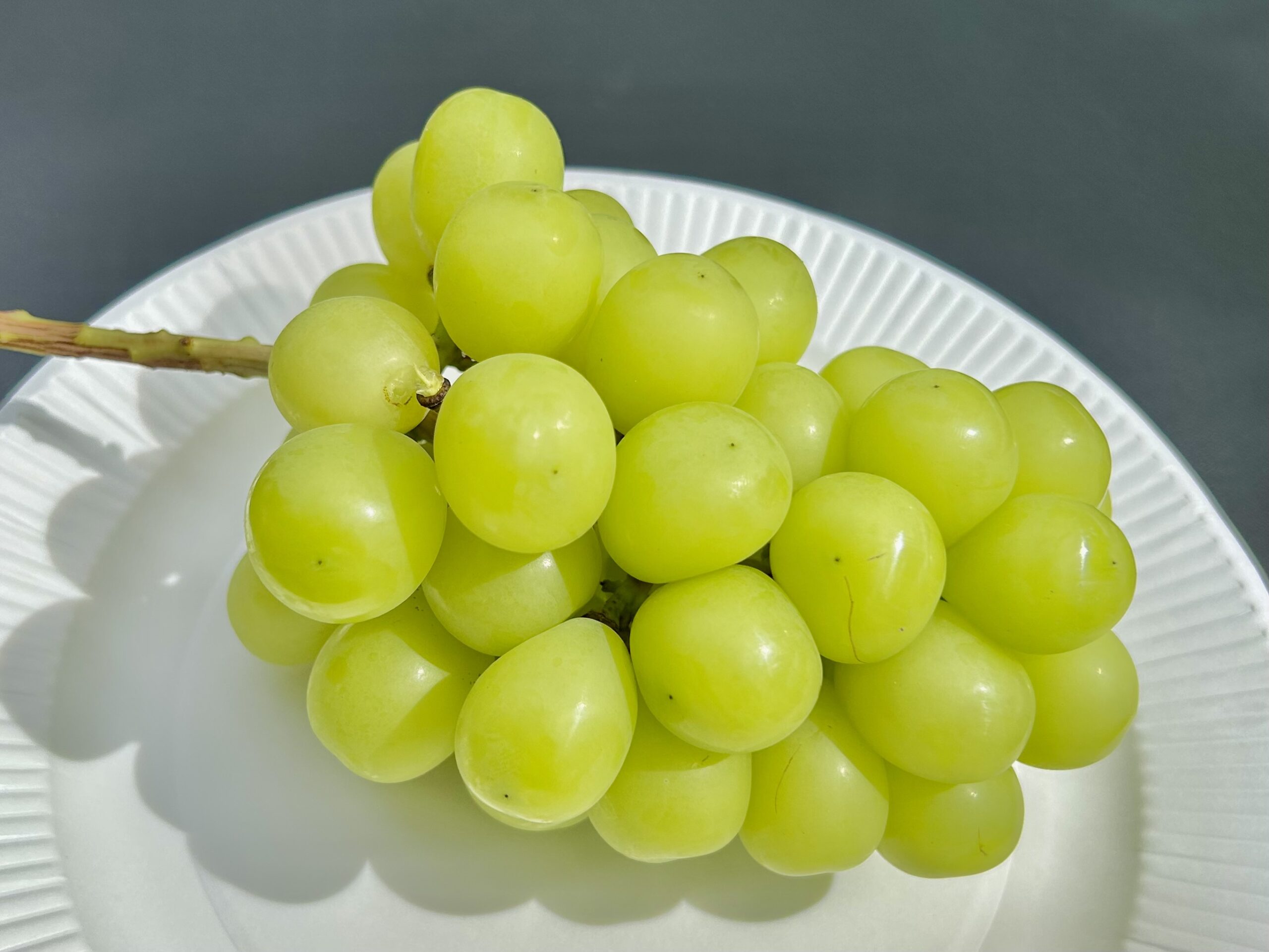 またたびファーム 甲斐の国マップ 甲斐のホテル 山梨県 観光情報