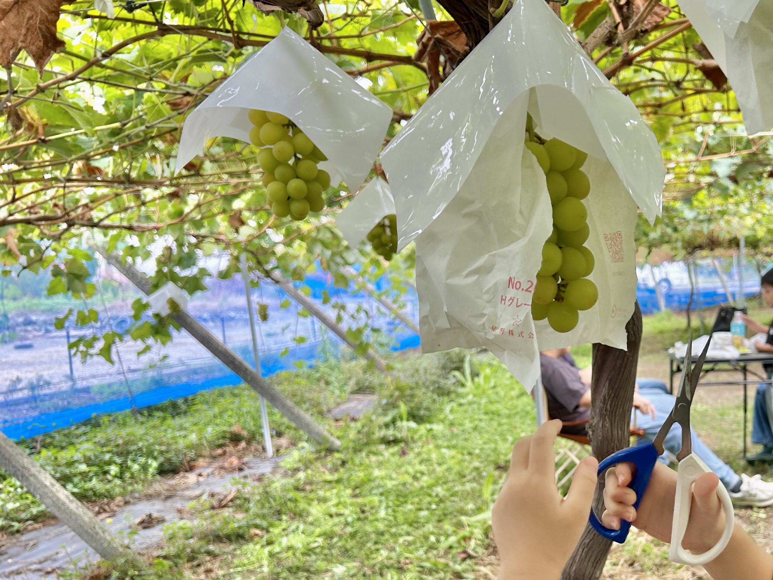 甲斐の国マップ 甲斐のホテル 山梨県 観光情報