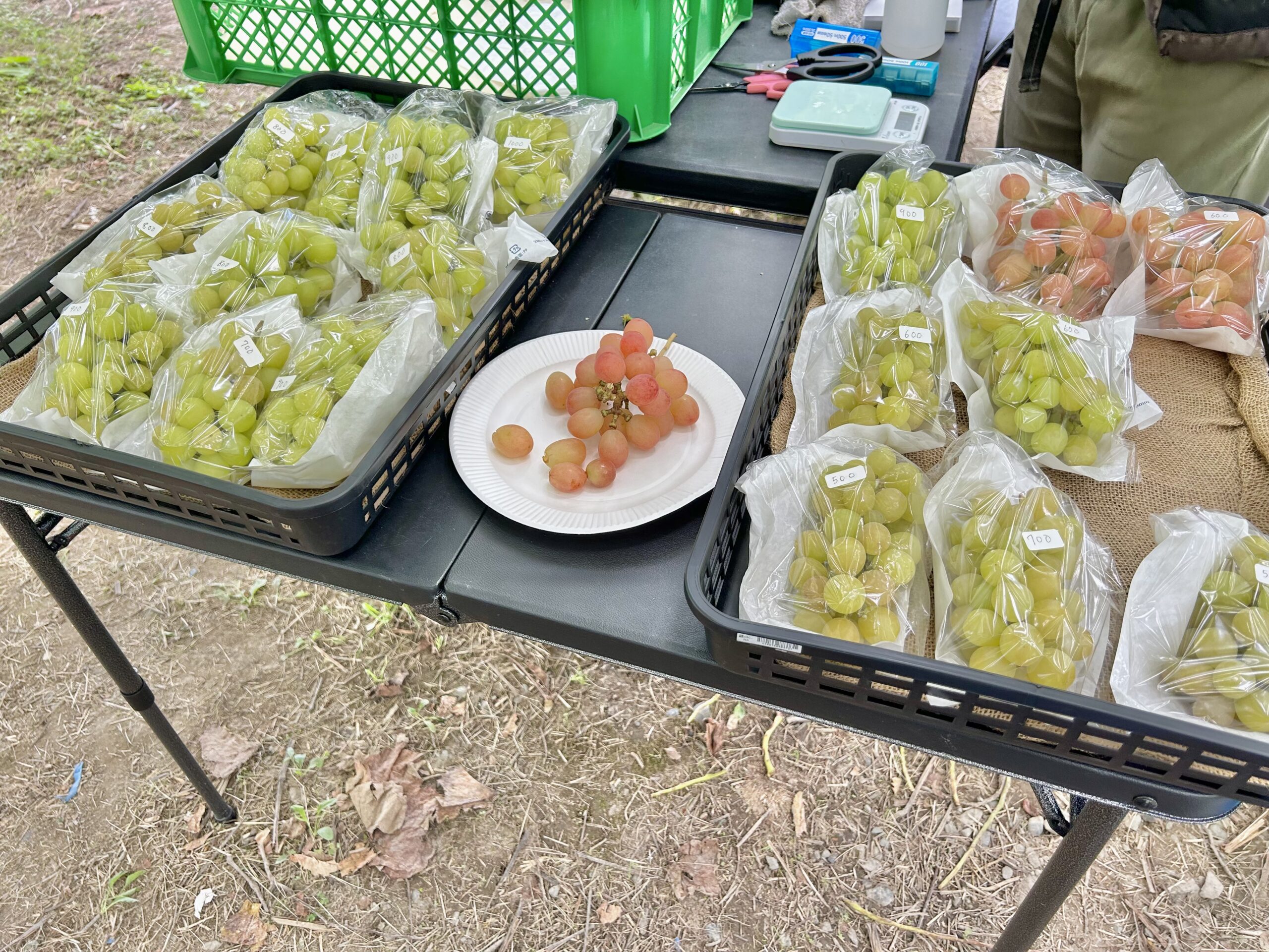 甲斐の国マップ 甲斐のホテル 山梨県 観光情報