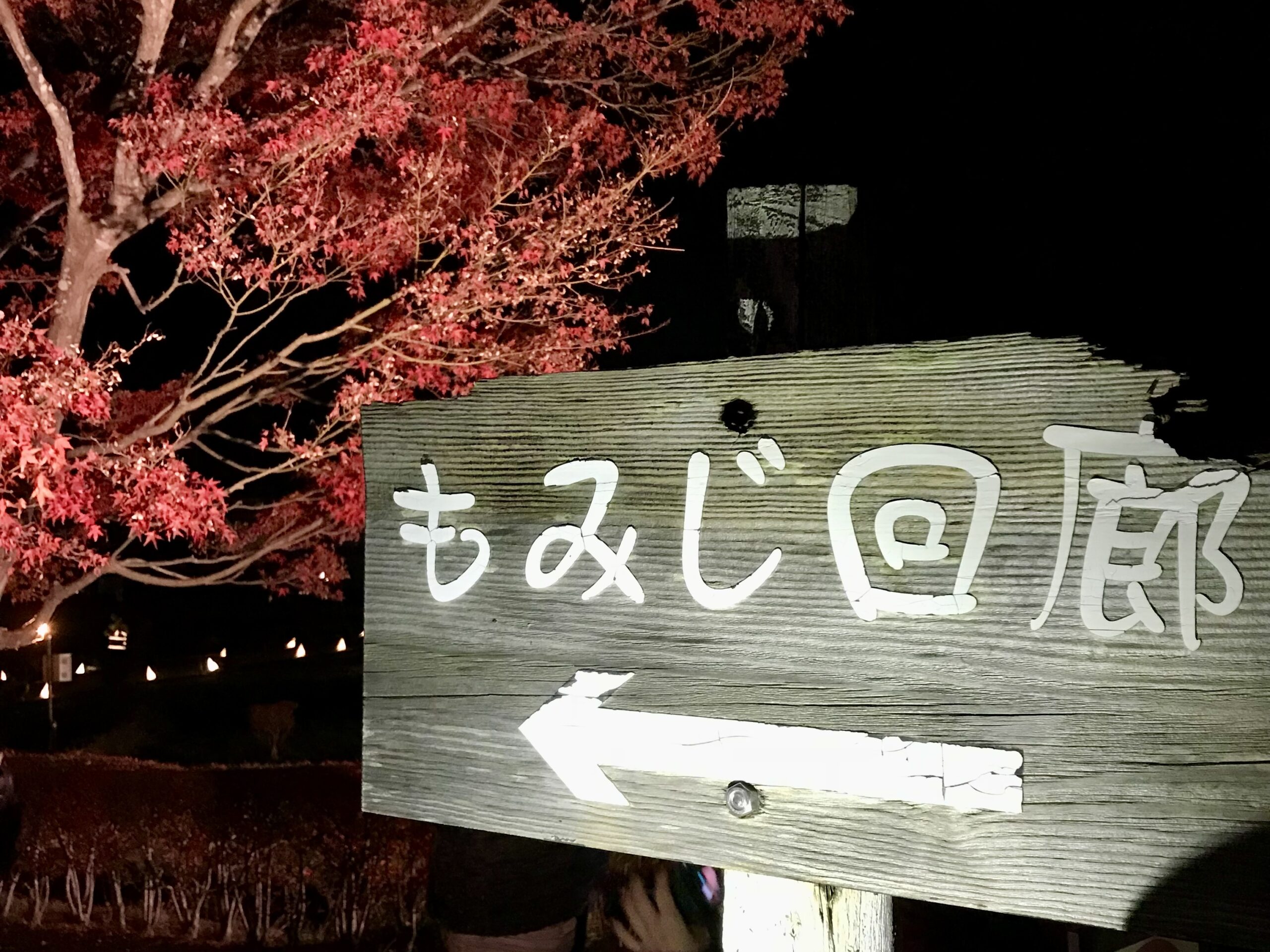 甲斐の国マップ 甲斐のホテル 山梨県 観光情報