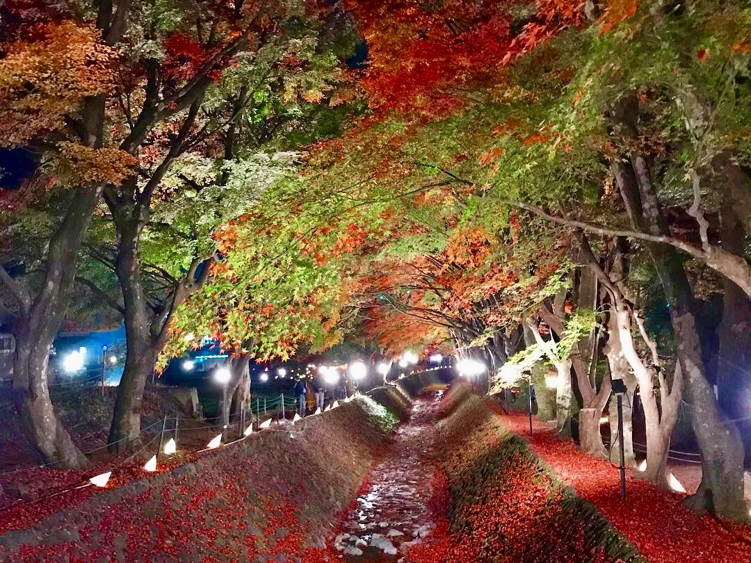 甲斐の国マップ 甲斐のホテル 山梨県 観光情報