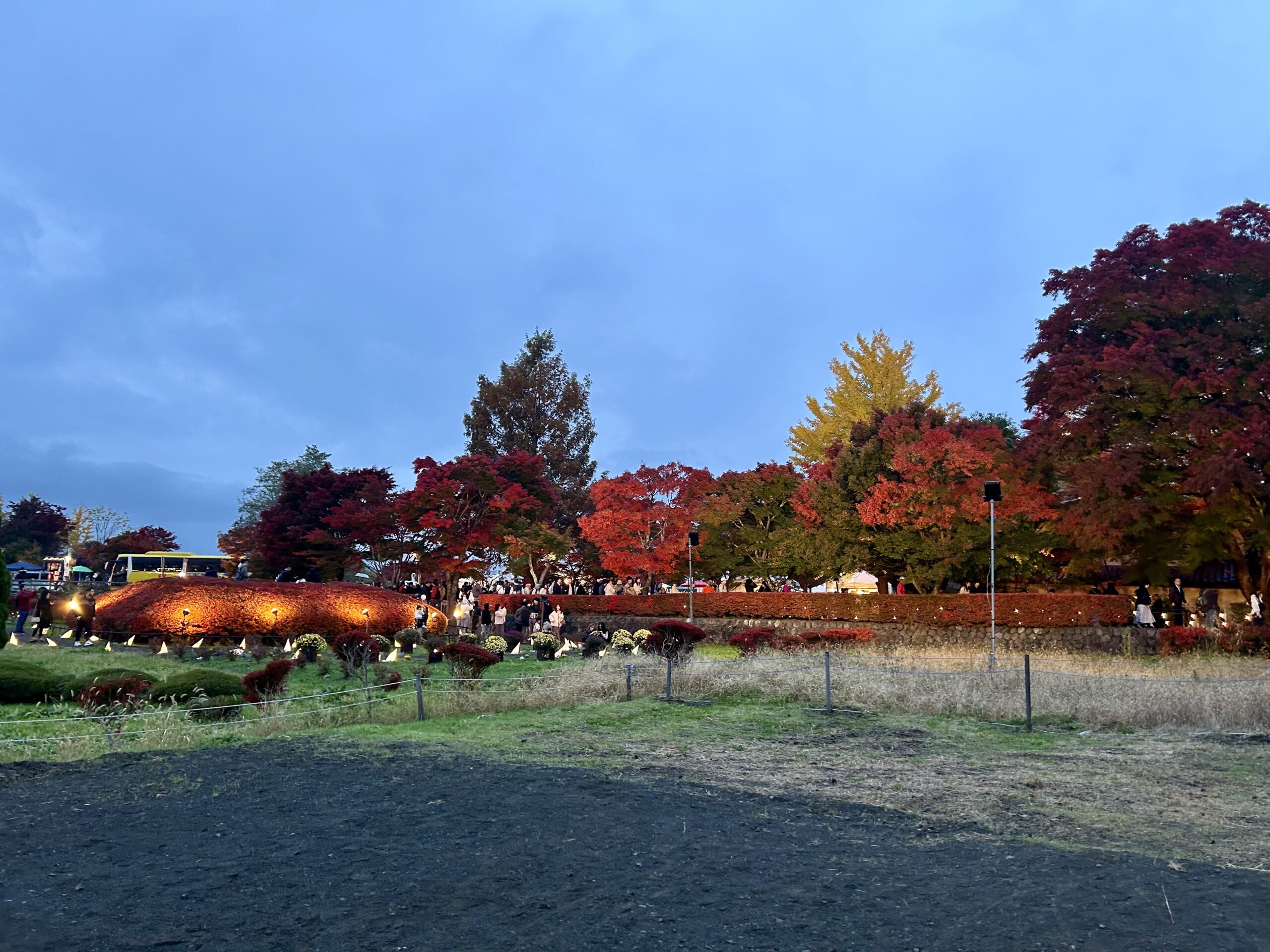 甲斐の国マップ 甲斐のホテル 山梨県 観光情報