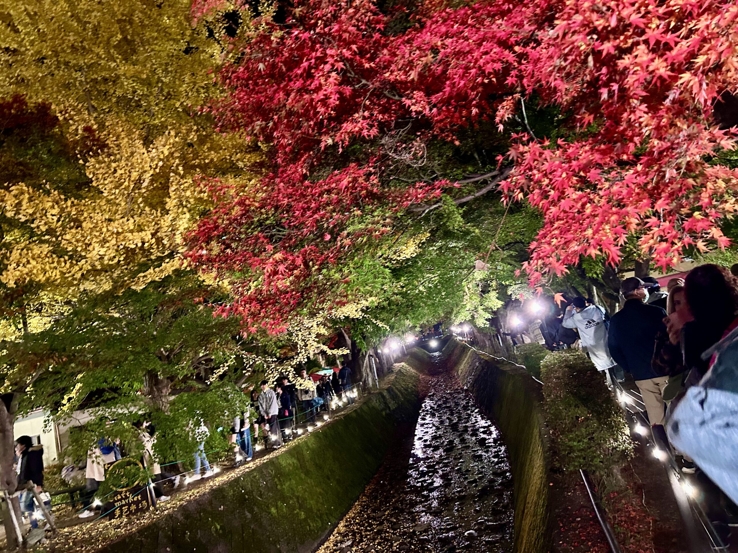 甲斐の国マップ 甲斐のホテル 山梨県 観光情報
