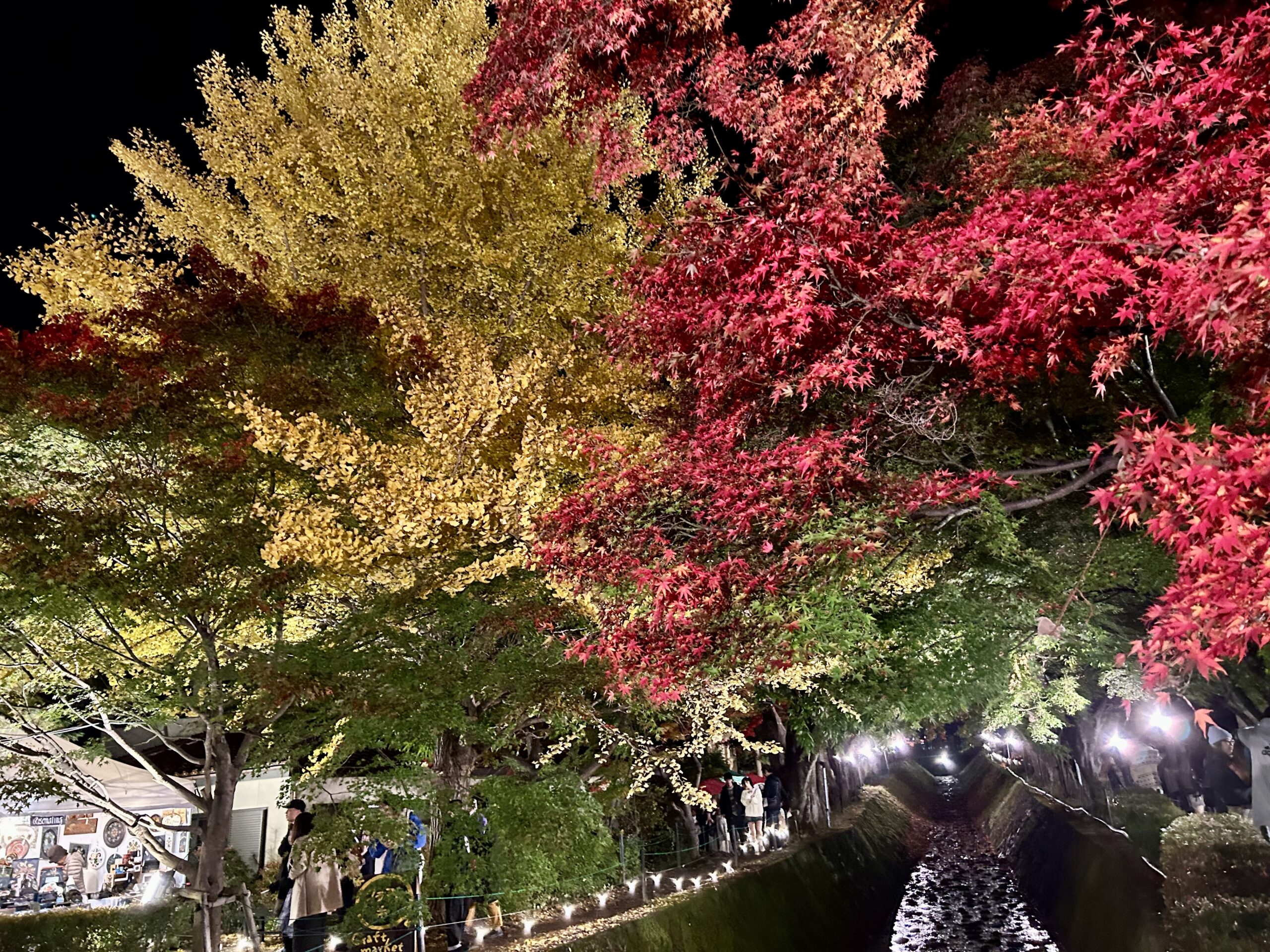 甲斐の国マップ 甲斐のホテル 山梨県 観光情報