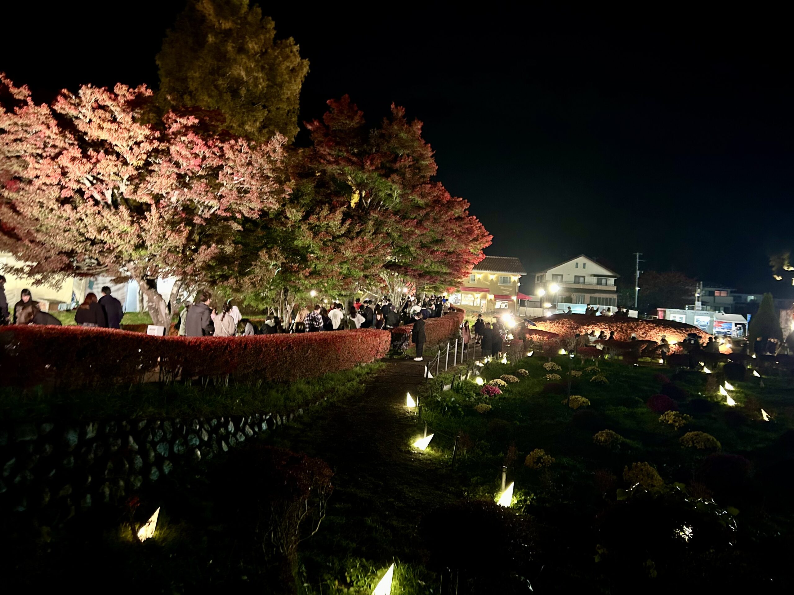 甲斐の国マップ 甲斐のホテル 山梨県 観光情報