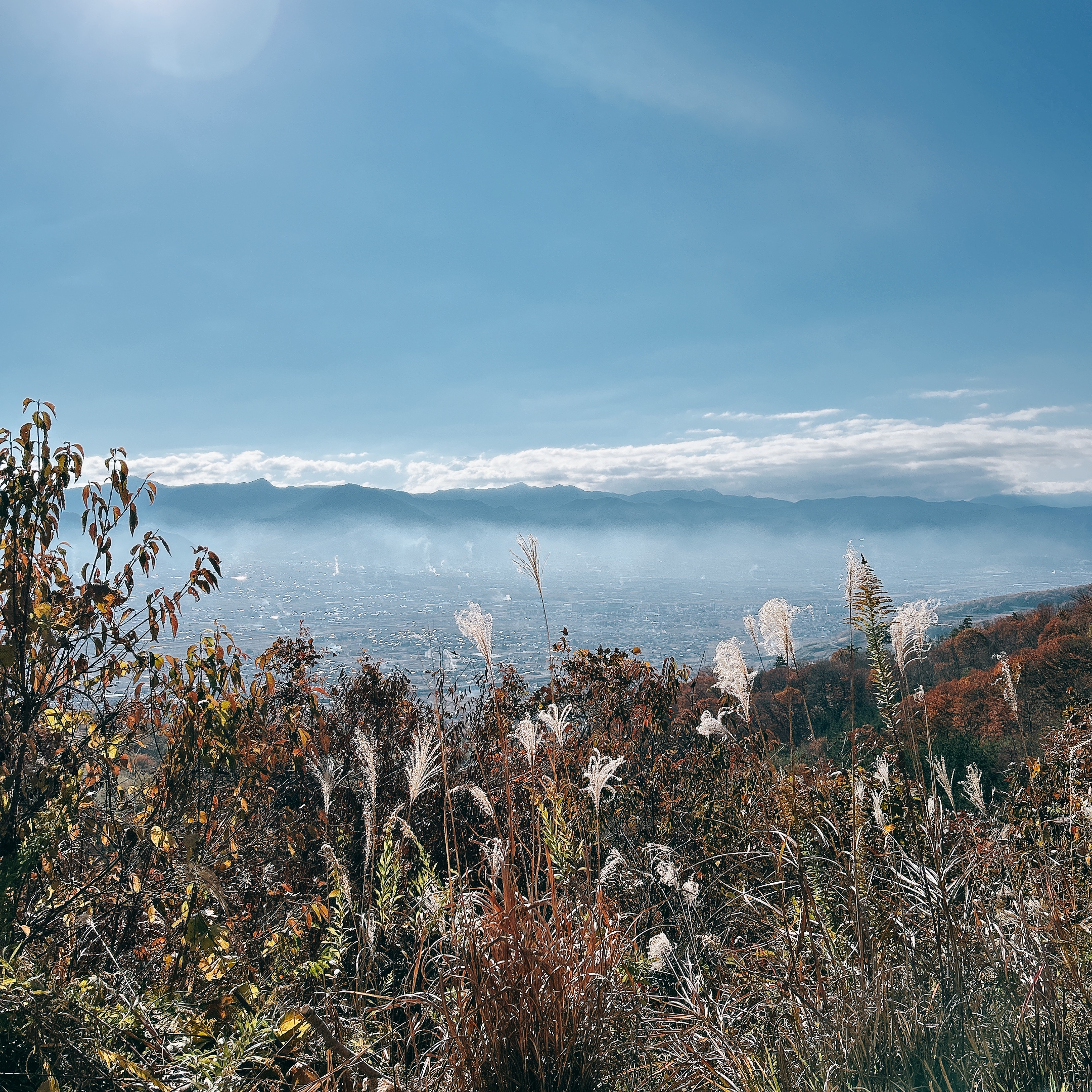 甲斐のホテル 甲斐の国マップ 山梨県 甲府市 観光情報 フォトコンテスト
