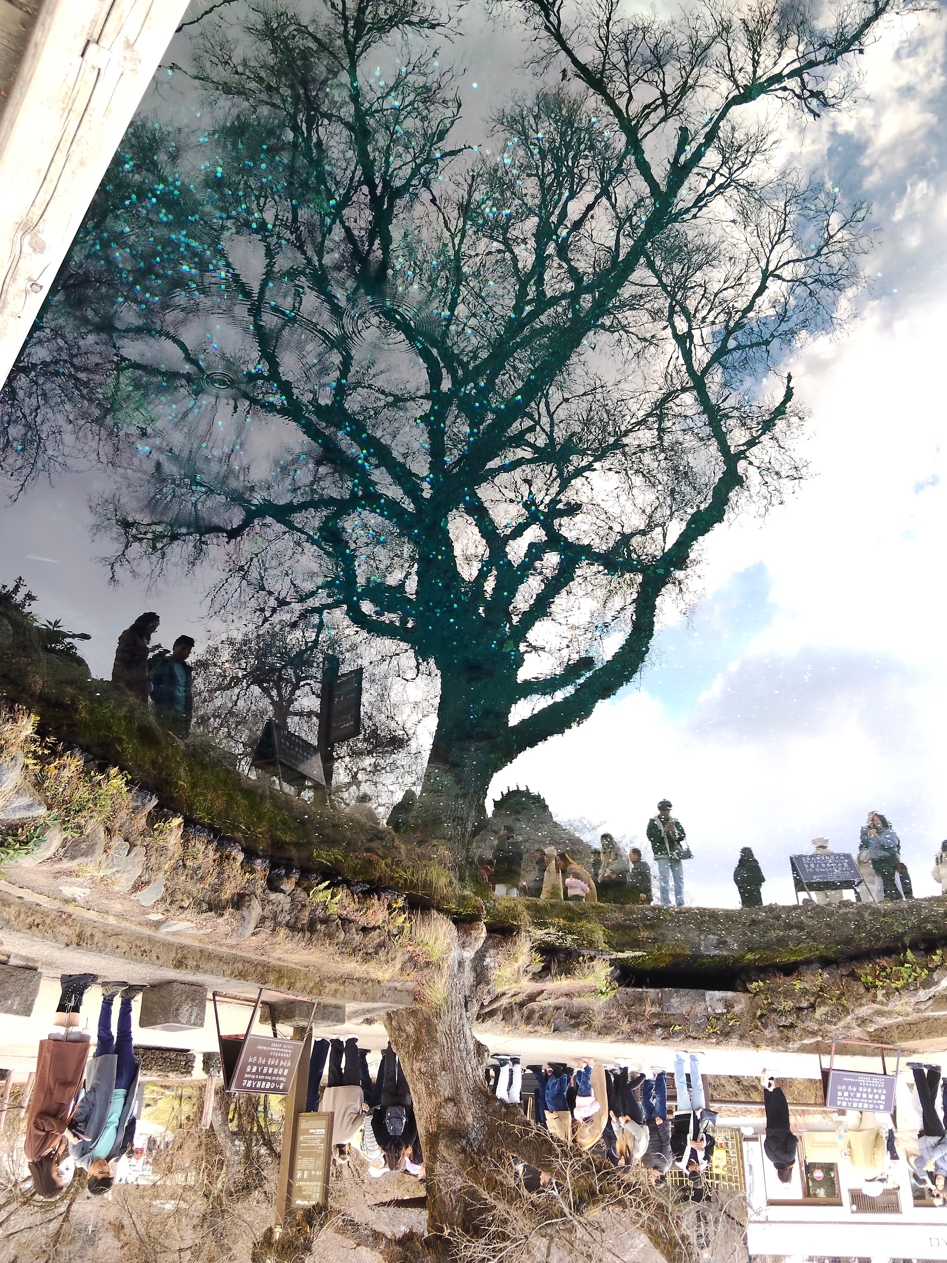 甲斐のホテル 甲斐の国マップ 山梨県 甲府市 観光情報 フォトコンテスト