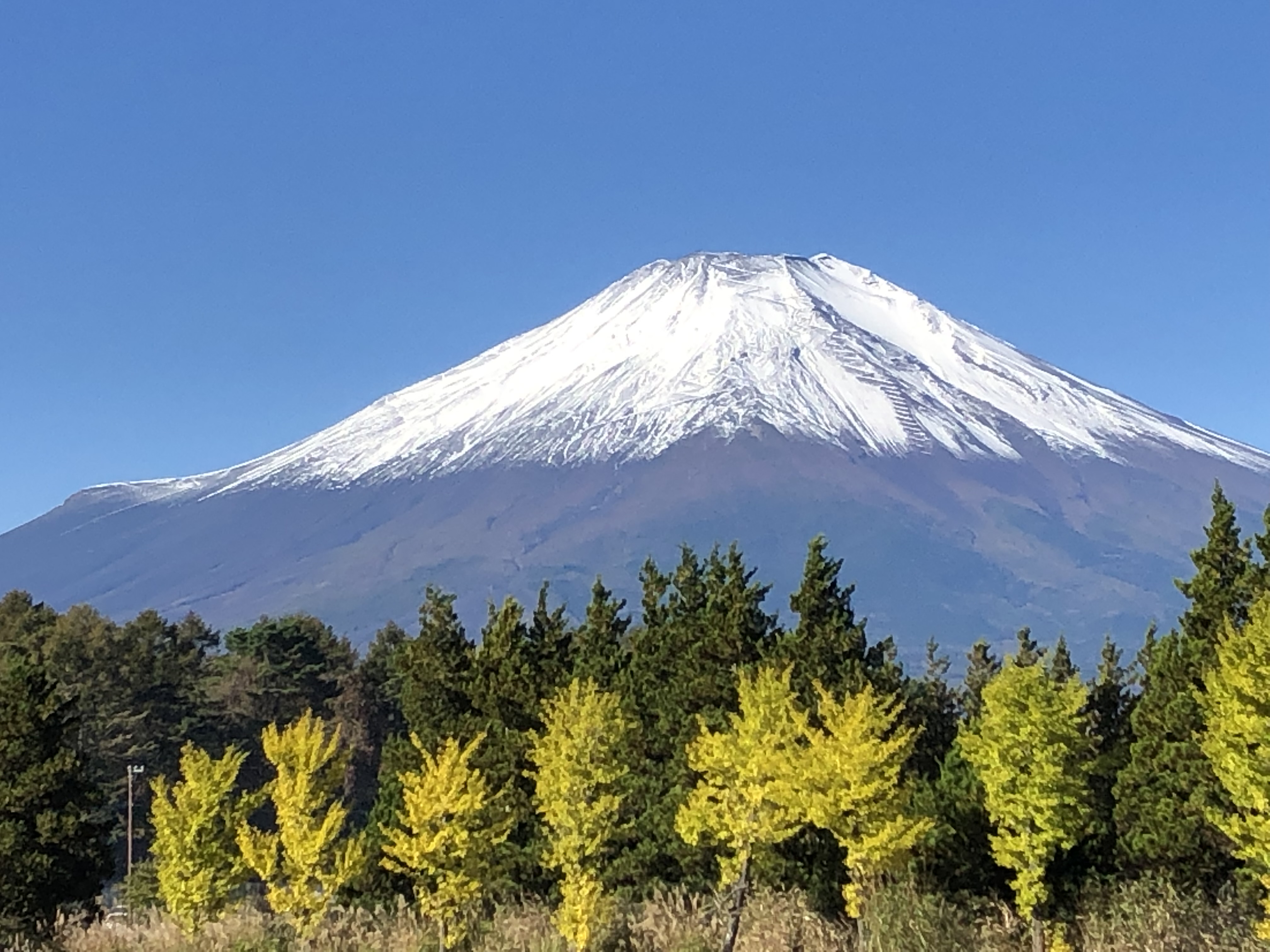 甲斐のホテル 甲斐の国マップ 山梨県 甲府市 観光情報 フォトコンテスト