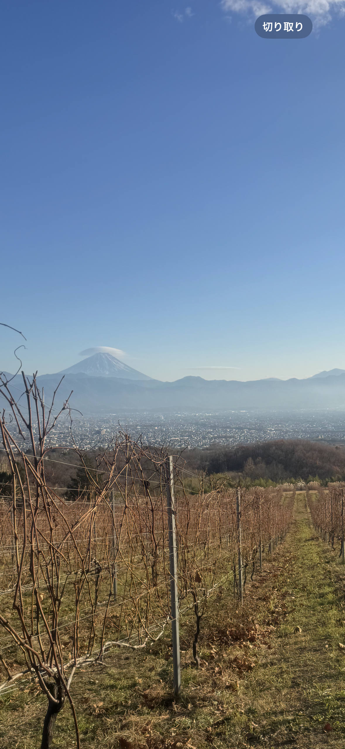甲斐のホテル 甲斐の国マップ 山梨県 甲府市 観光情報 フォトコンテスト