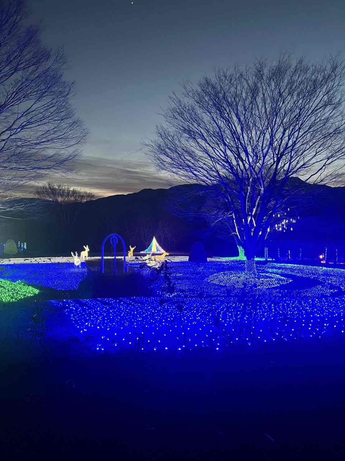甲斐のホテル 甲斐の国マップ 山梨県 甲府市 観光情報 フォトコンテスト