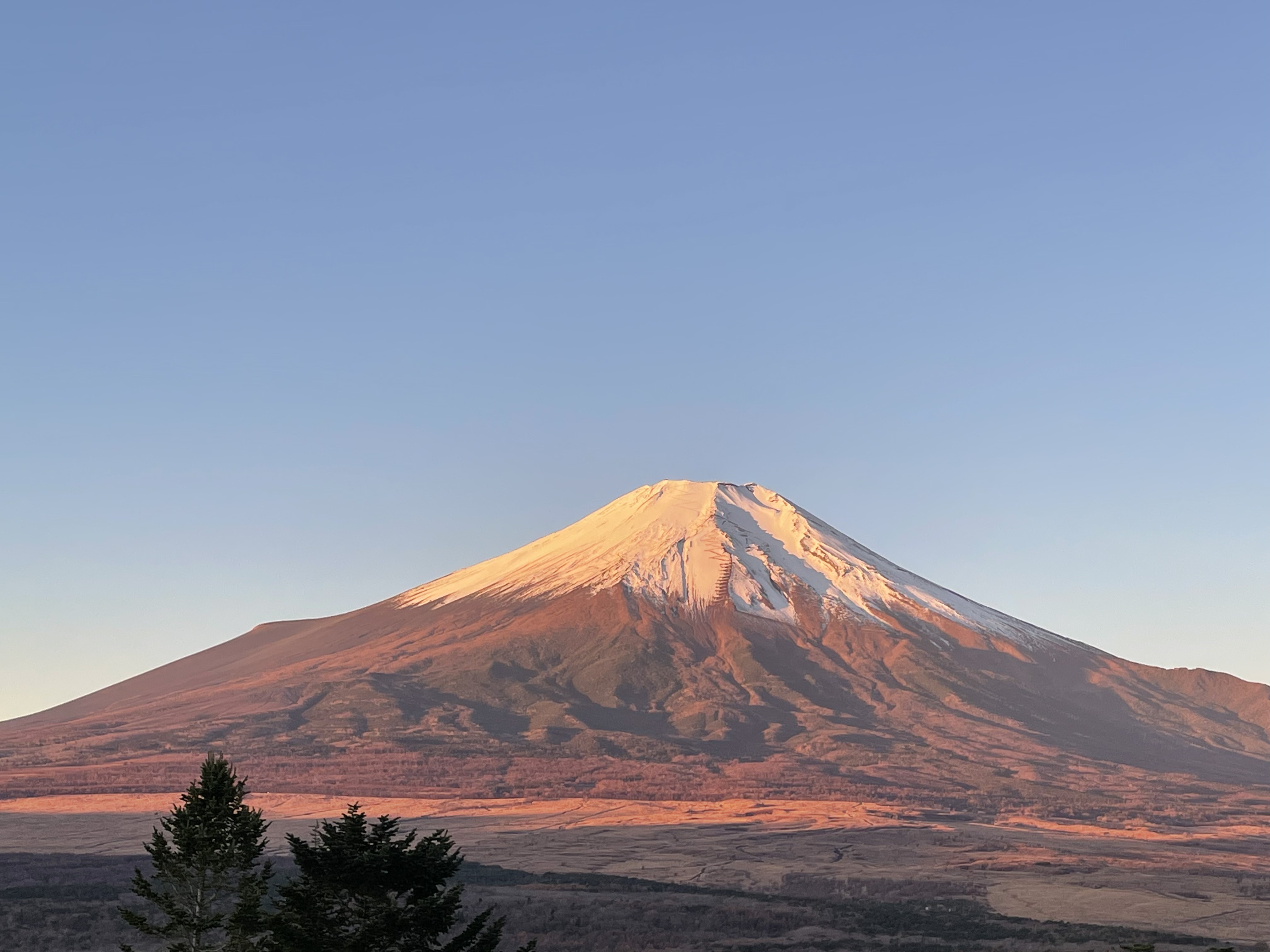 甲斐のホテル 甲斐の国マップ 山梨県 甲府市 観光情報 フォトコンテスト