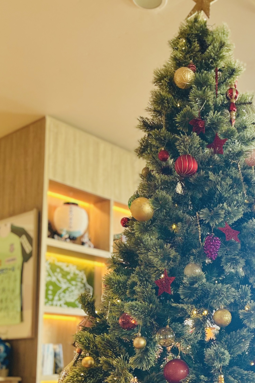 甲斐のホテル 甲斐の国マップ 山梨県 甲府市 観光情報 フォトコンテスト