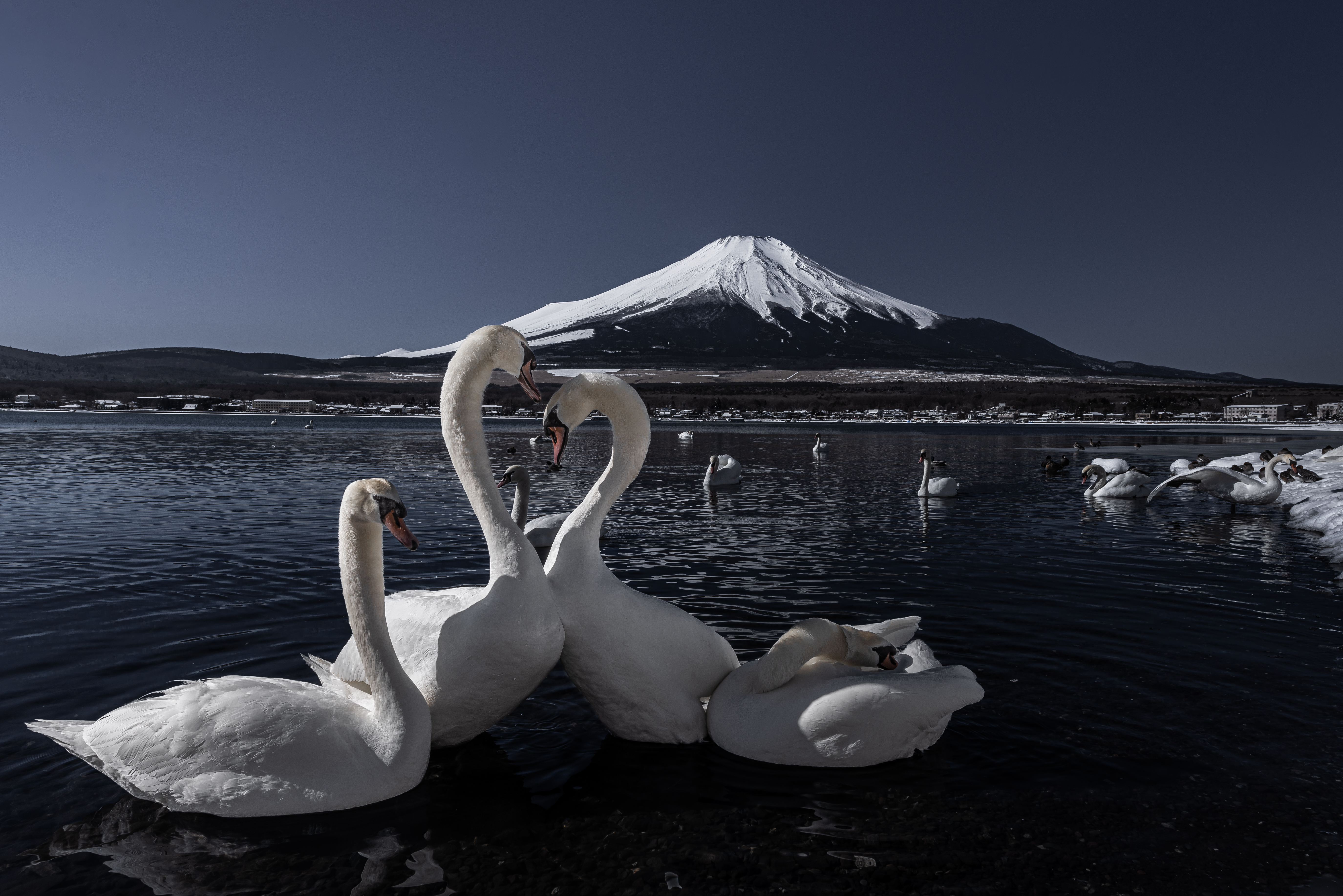 甲斐のホテル 甲斐の国マップ 山梨県 甲府市 観光情報 フォトコンテスト