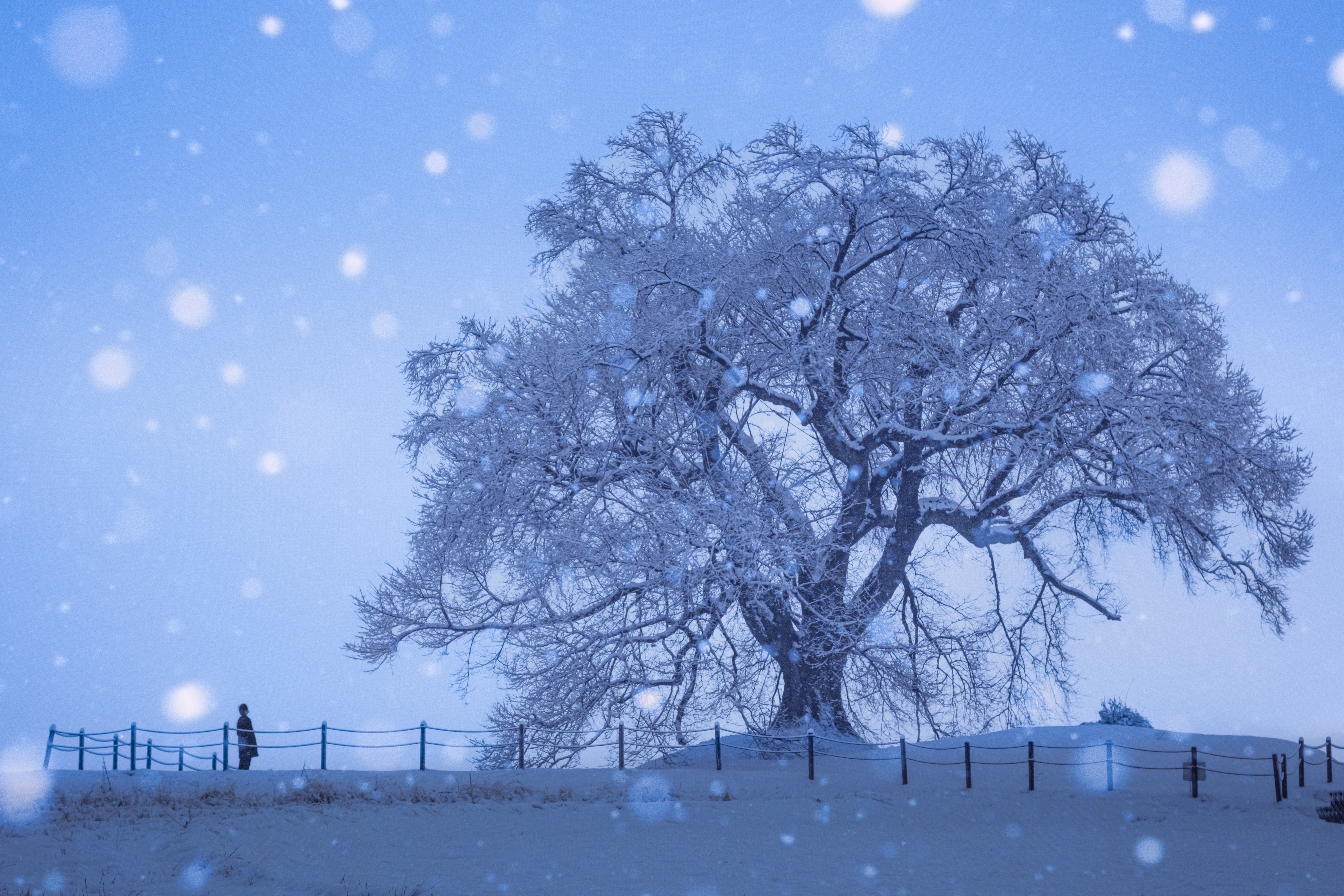 甲斐のホテル 甲斐の国マップ 山梨県 甲府市 観光情報 フォトコンテスト
