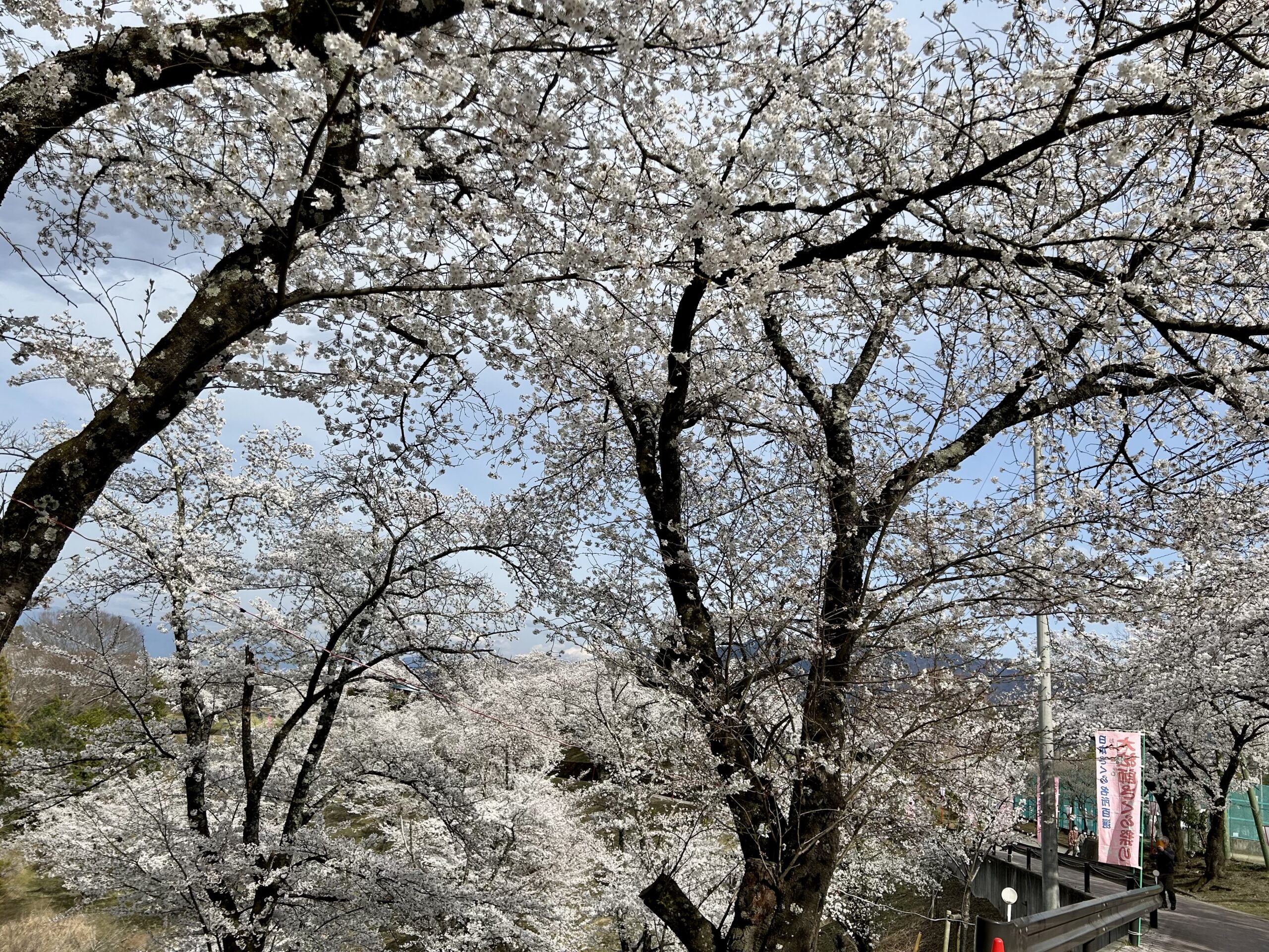 甲斐の国マップ 甲斐のホテル 山梨県 観光情報