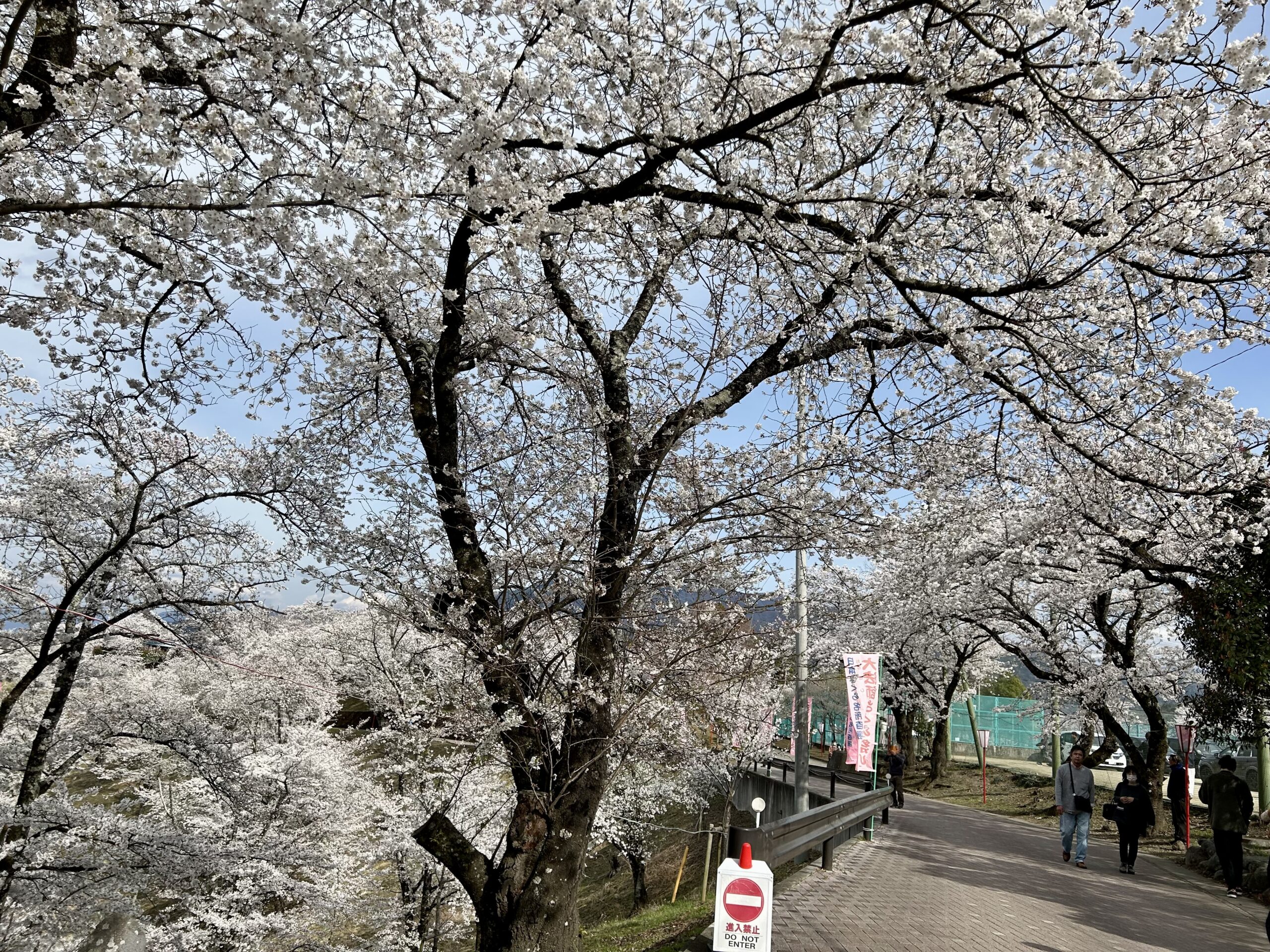 甲斐の国マップ 甲斐のホテル 山梨県 観光情報