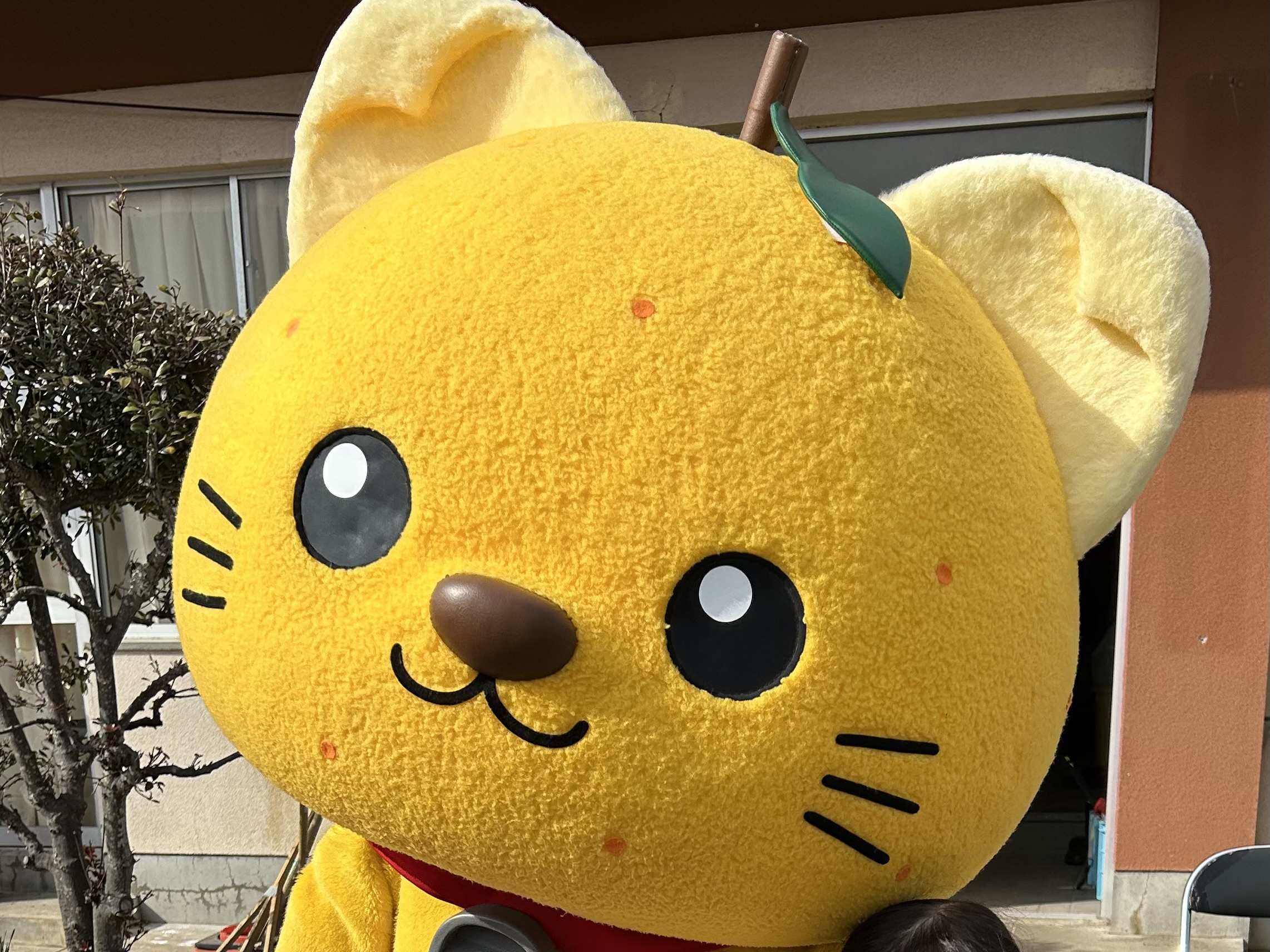 甲斐の国マップ 甲斐のホテル 山梨県 観光情報