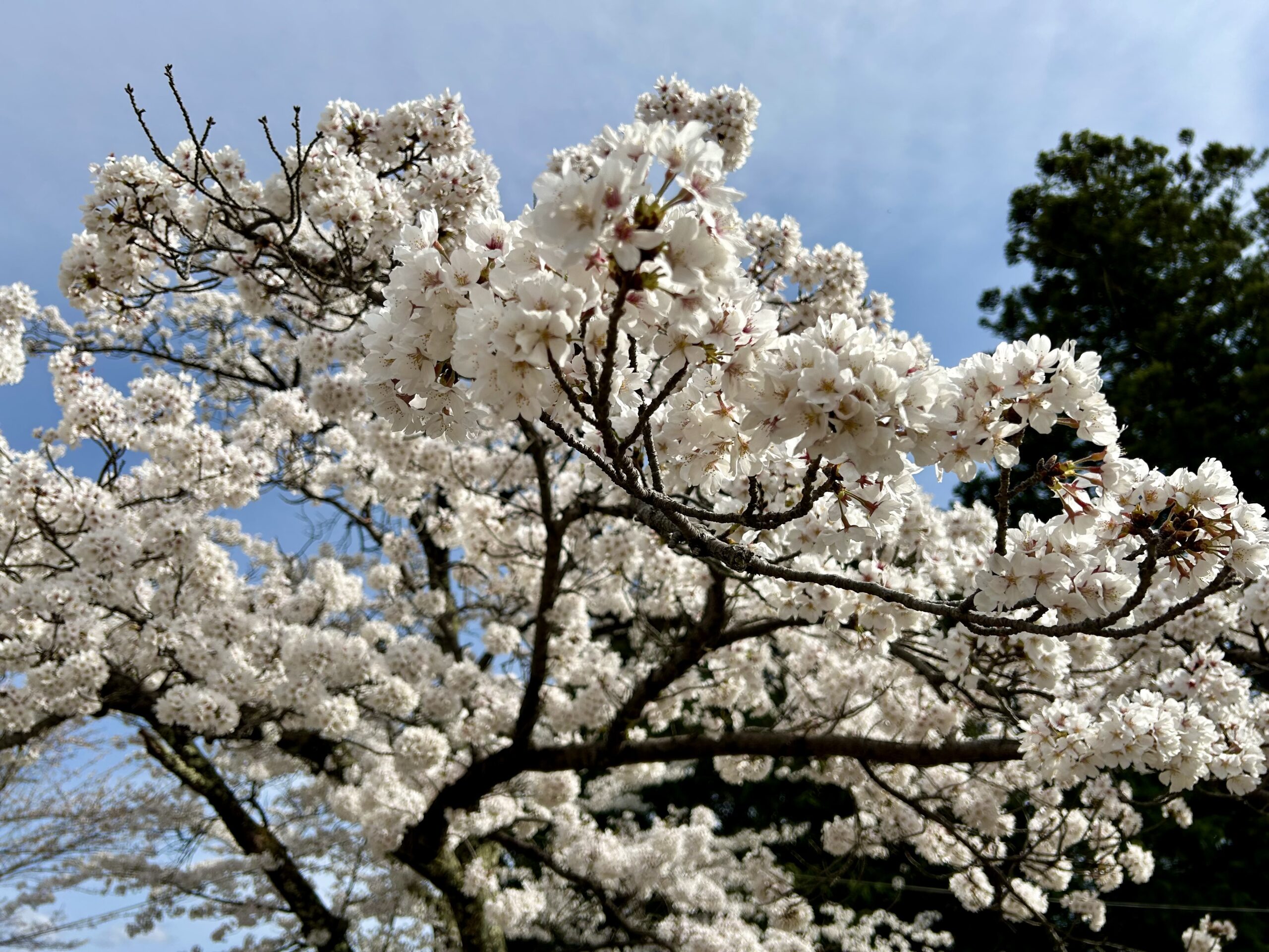 甲斐の国マップ 甲斐のホテル 山梨県 観光情報