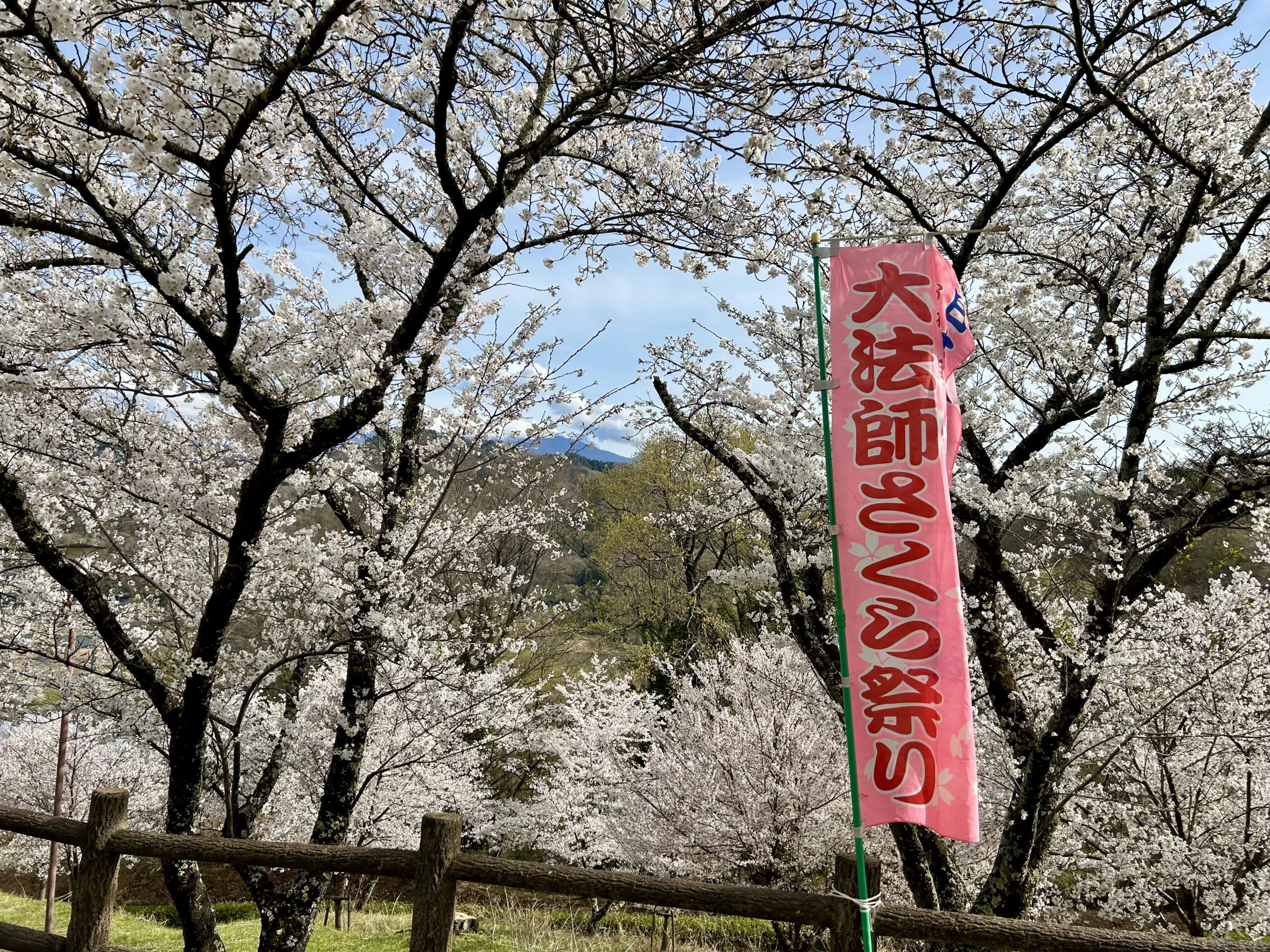 大法師さくら祭り 甲斐の国マップ 甲斐のホテル 山梨県 観光情報