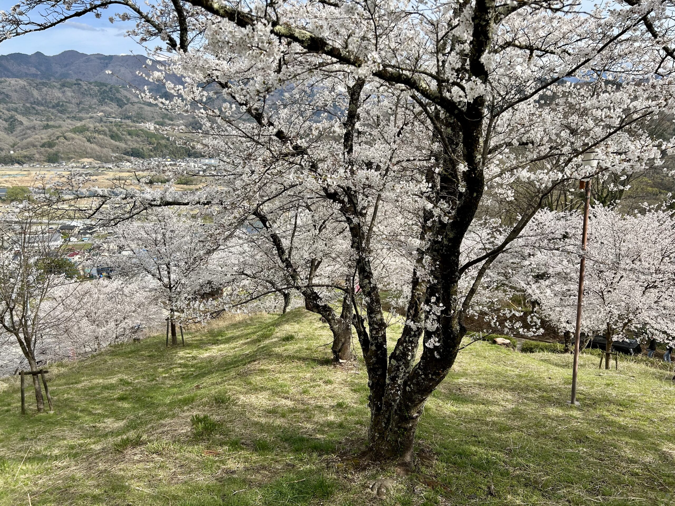 甲斐の国マップ 甲斐のホテル 山梨県 観光情報