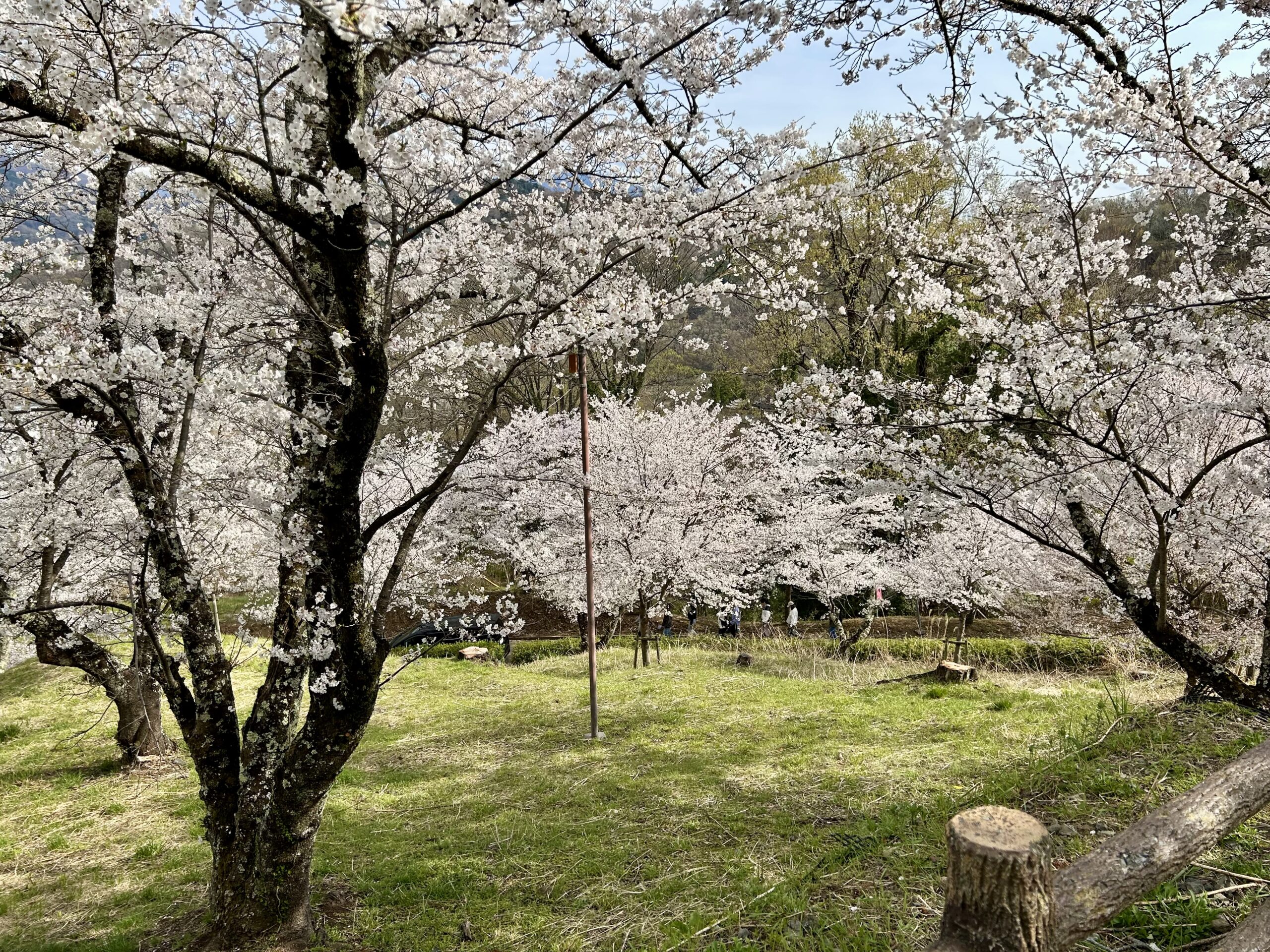 甲斐の国マップ 甲斐のホテル 山梨県 観光情報