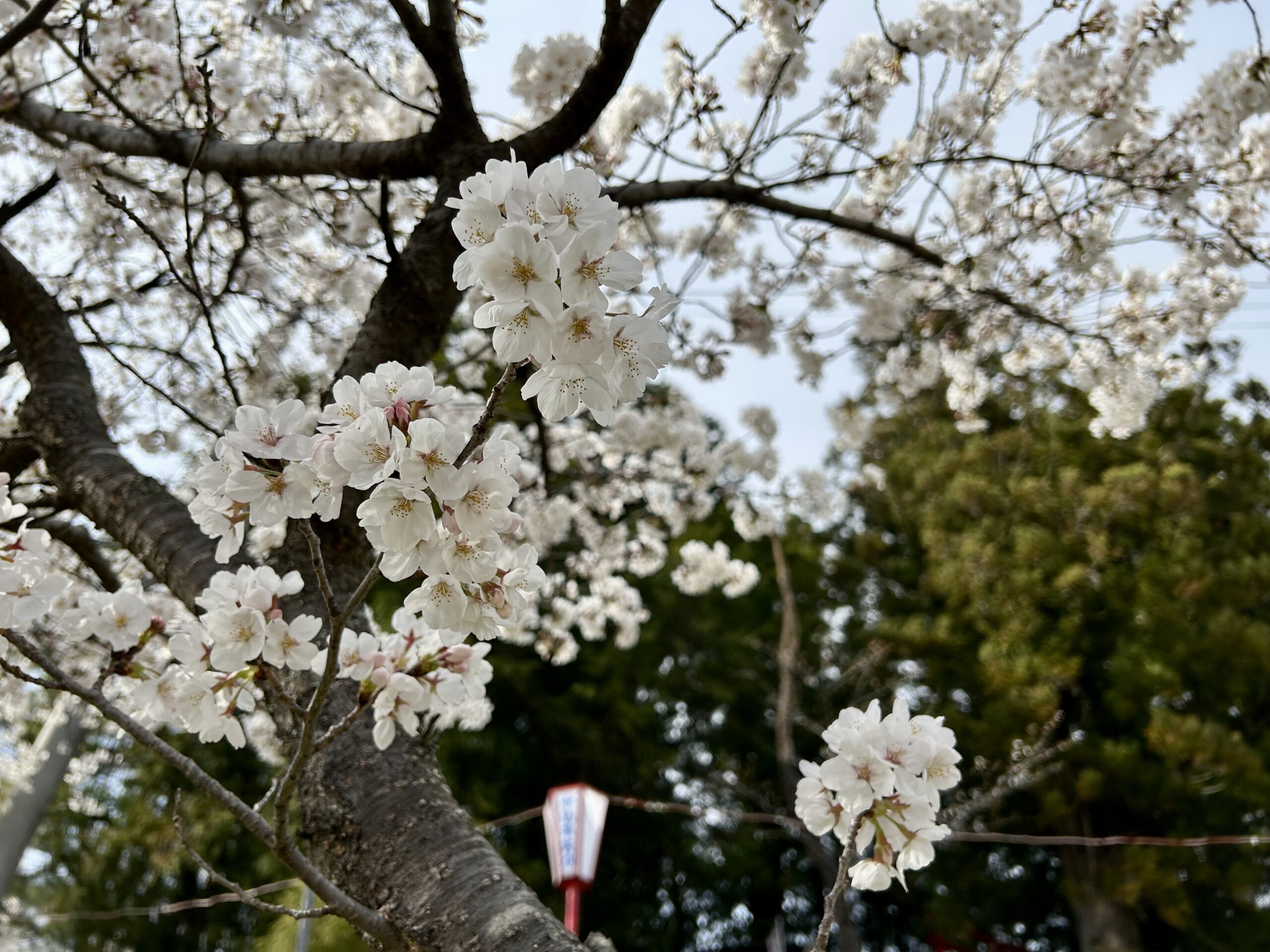 甲斐の国マップ 甲斐のホテル 山梨県 観光情報